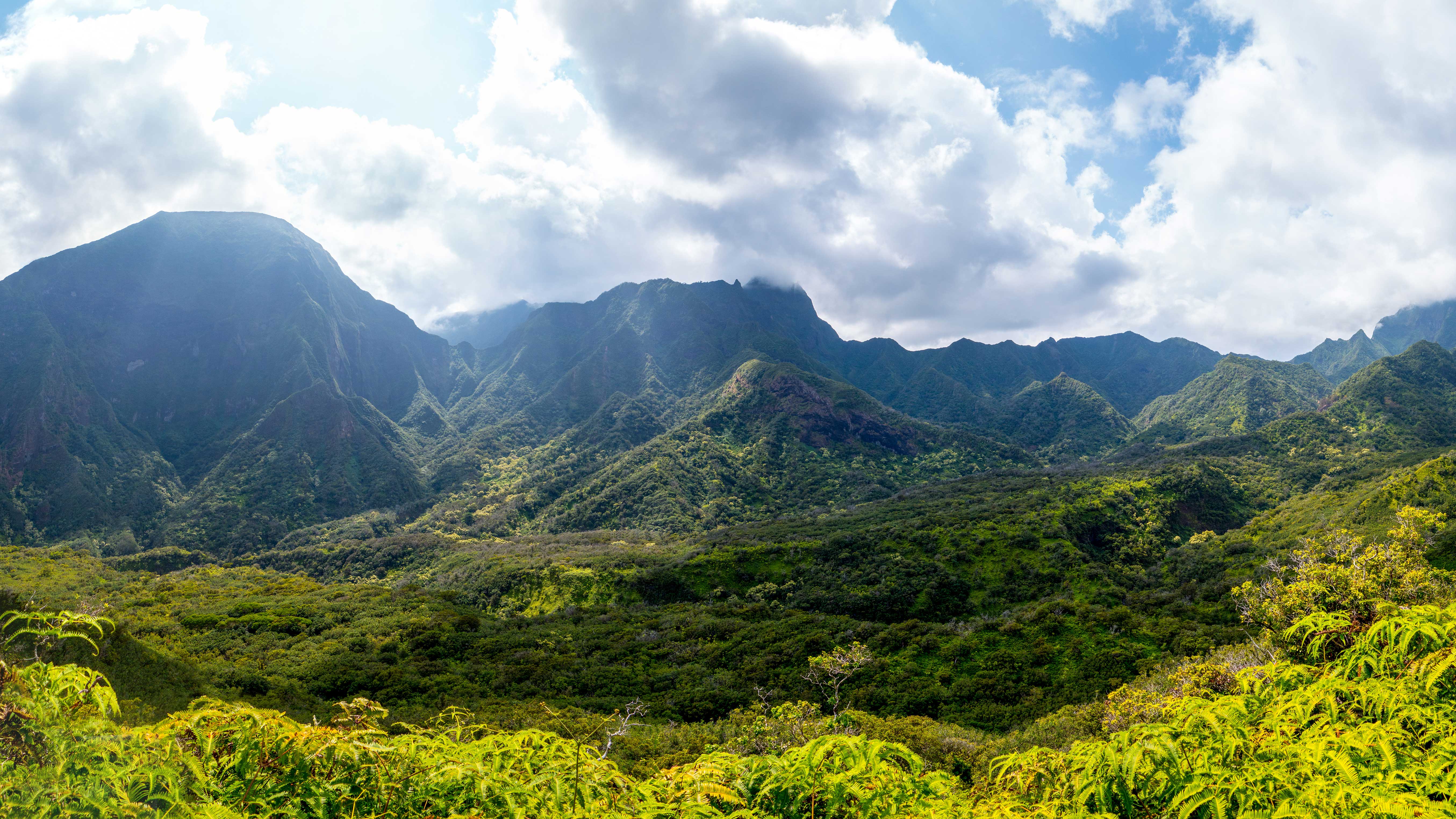 Breathtaking view of lush greenery in the Iao Valley, Maui, a natural wonder near Grand Wailea Resort.