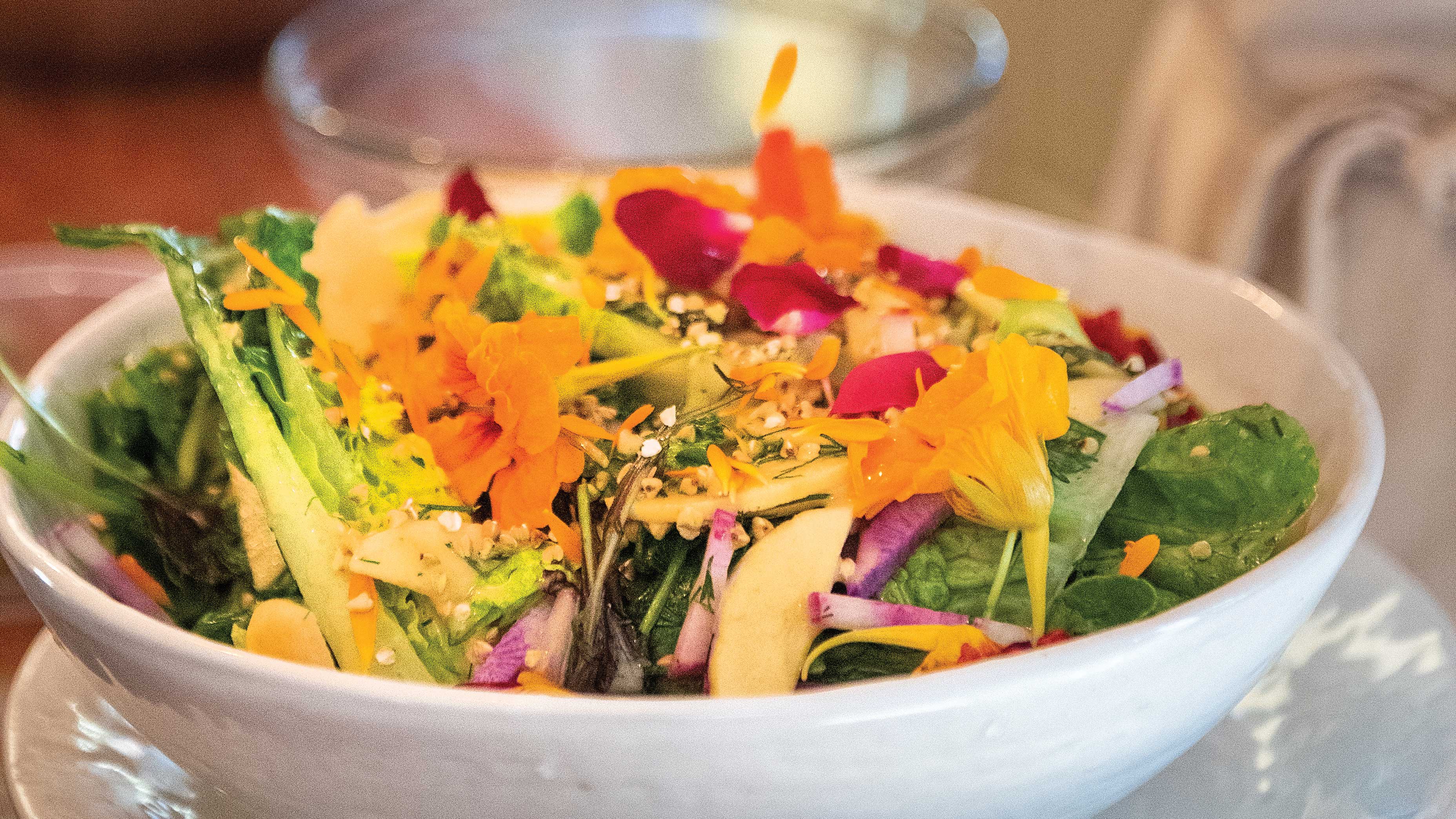 A vibrant farm-to-table salad in a white bowl, bursting with fresh greens, shredded carrots, purple cabbage, and edible flowers, sprinkled with seeds.
