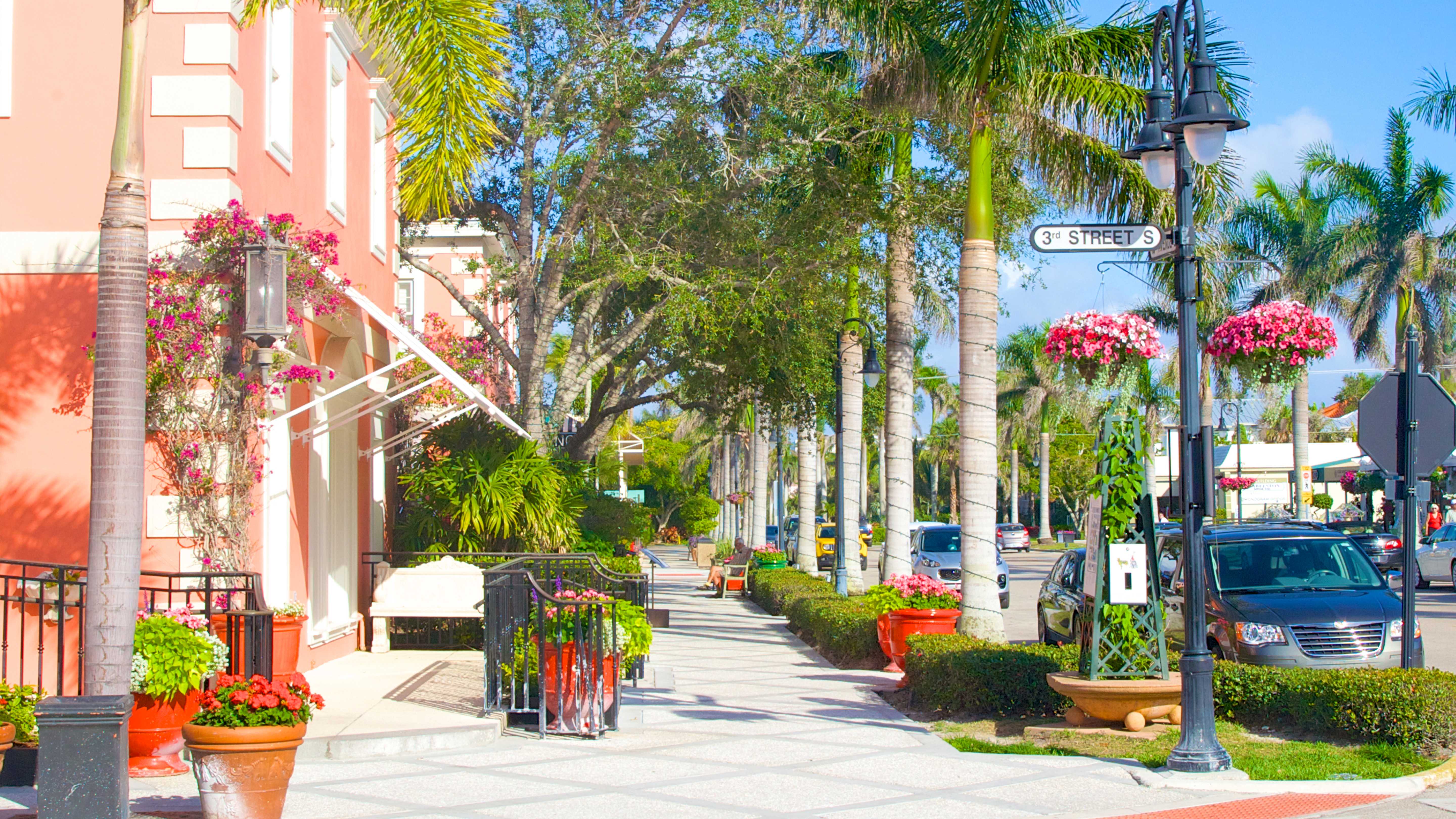 A charming street corner with lush palm trees and hanging flower baskets on a sunny day in Naples, Florida.