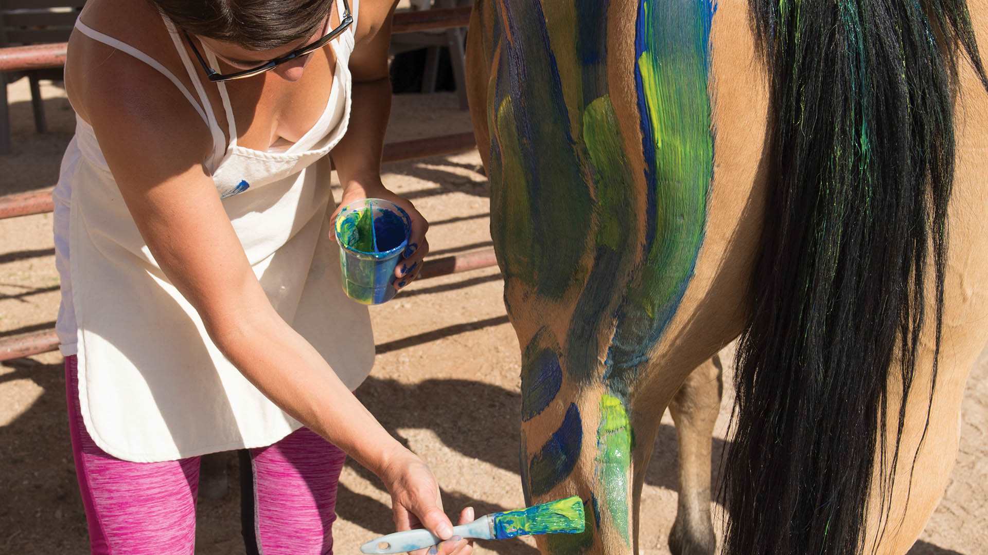 A woman painting a horse for an equine experience.