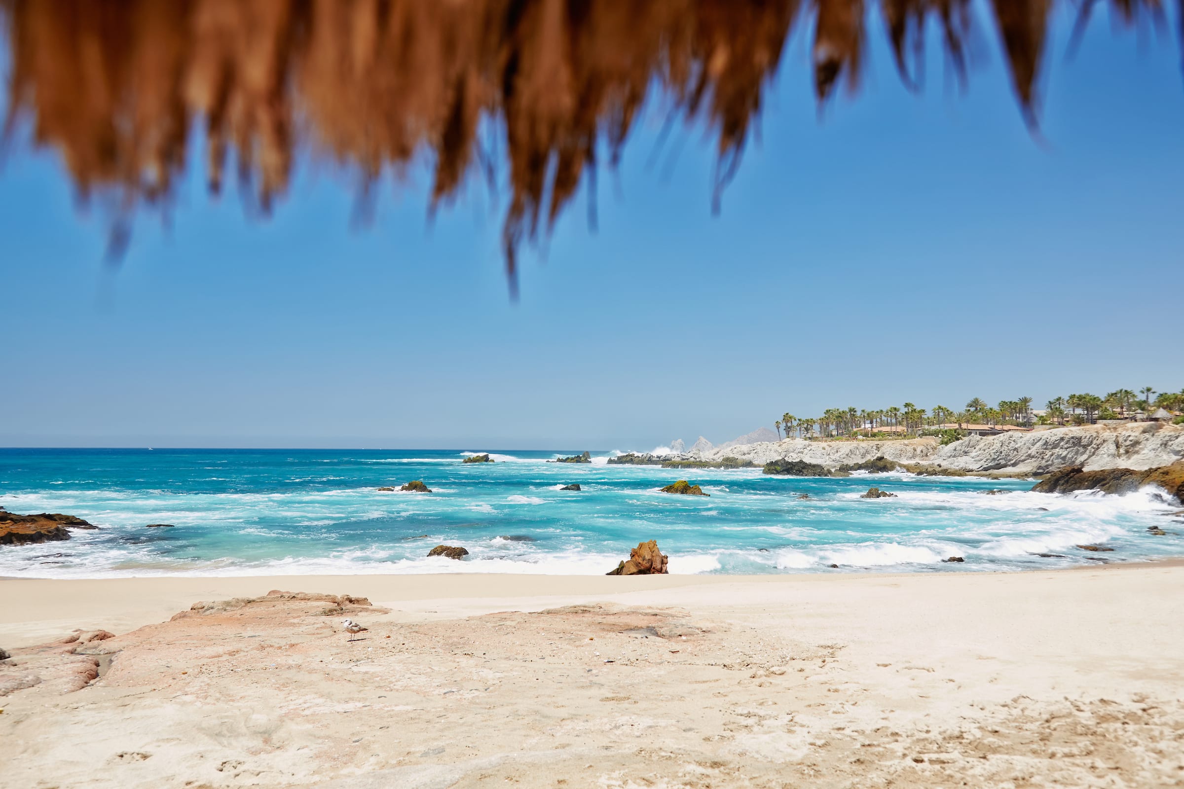 Waves crashing on the beach in Los Cabos, Mexico