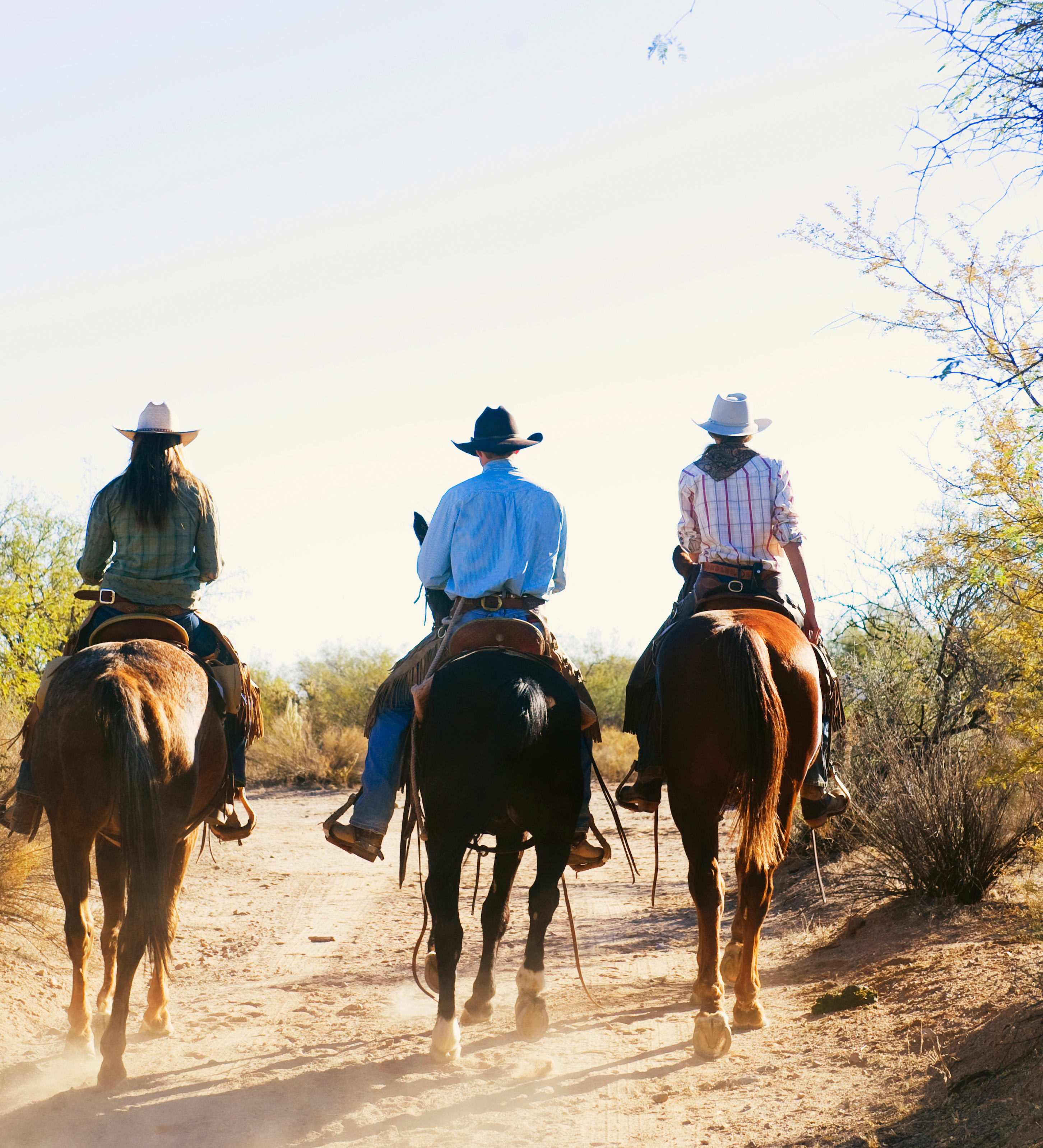 Three riders on horseback wearing cowboy hats on a trail ride in the sunny Scottsdale desert.