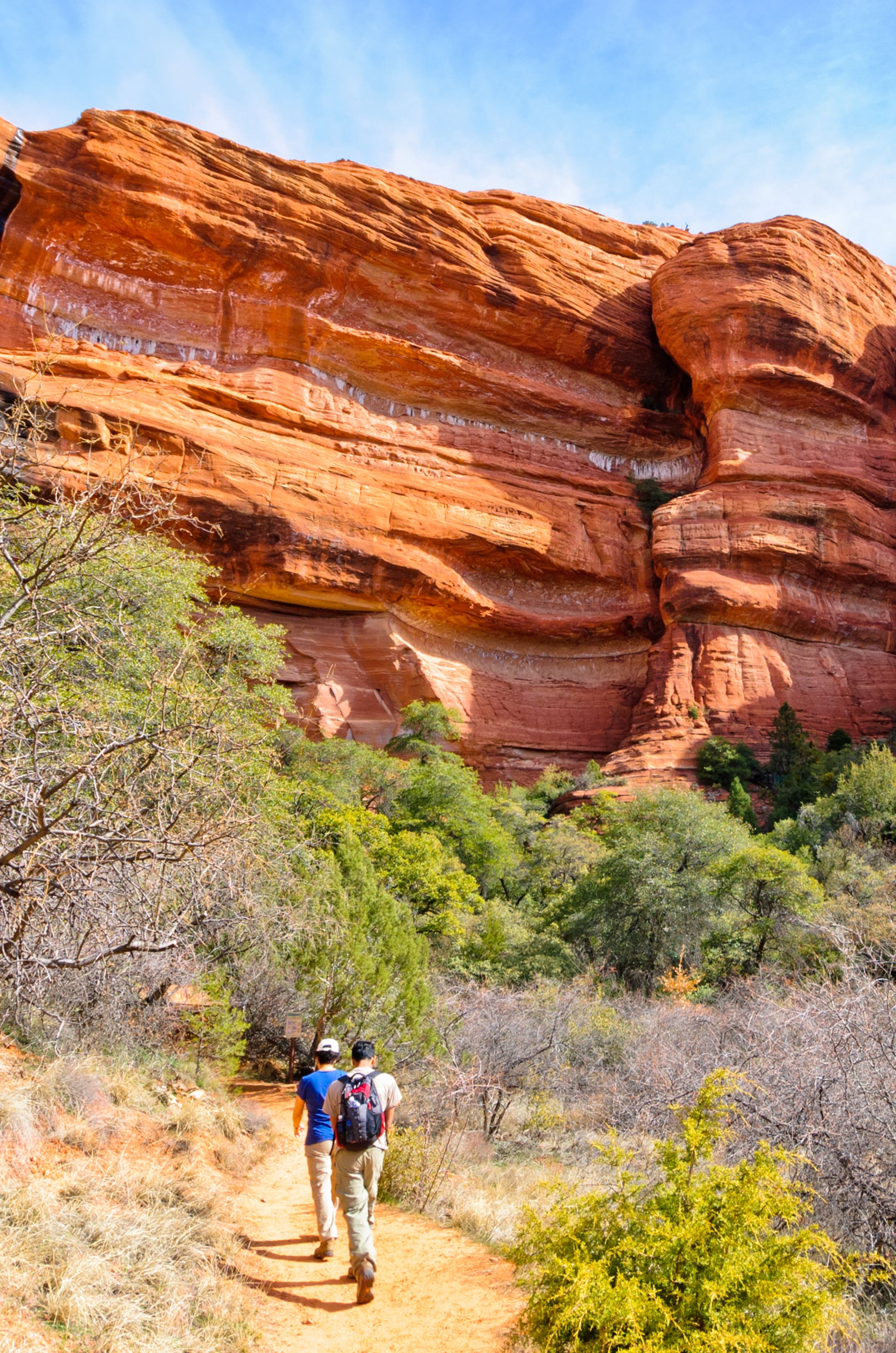 Hikers on a trail in Scottsdale, Arizona, with the distinctive red sandstone formations and lush desert vegetation in the background.