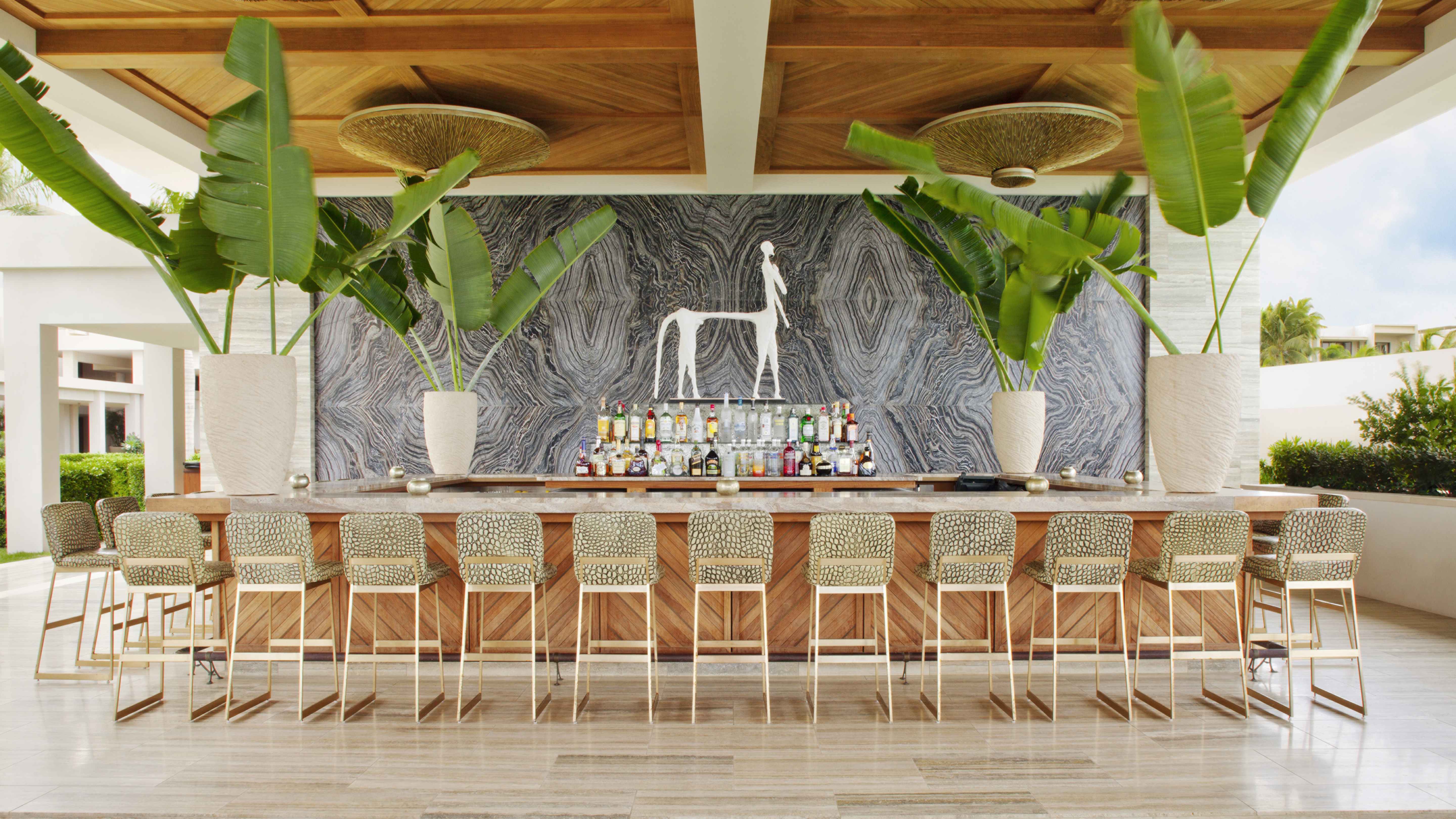 An outdoor bar with chairs and large plants.