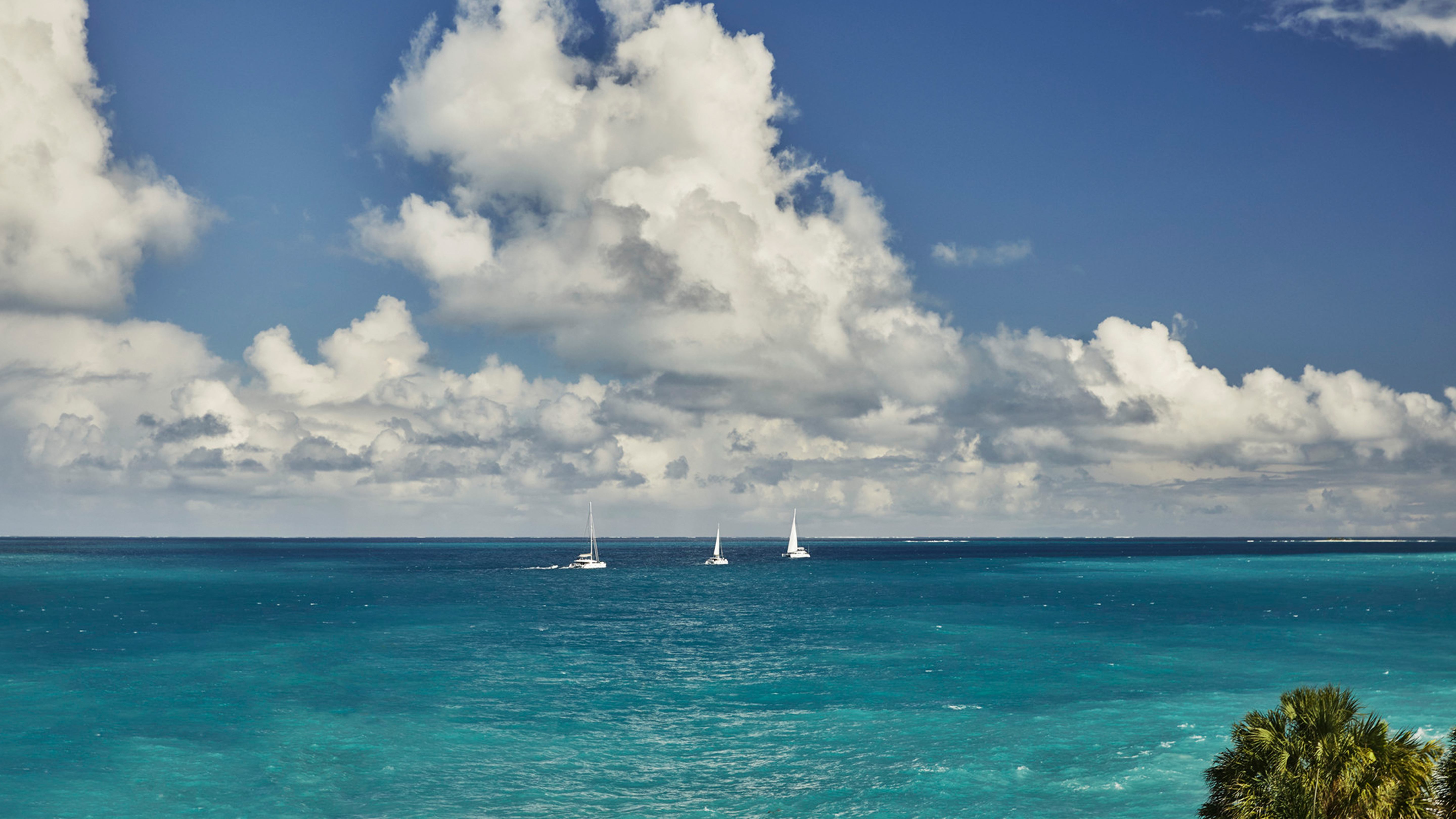 Three sailboats in the water in Anguilla.
