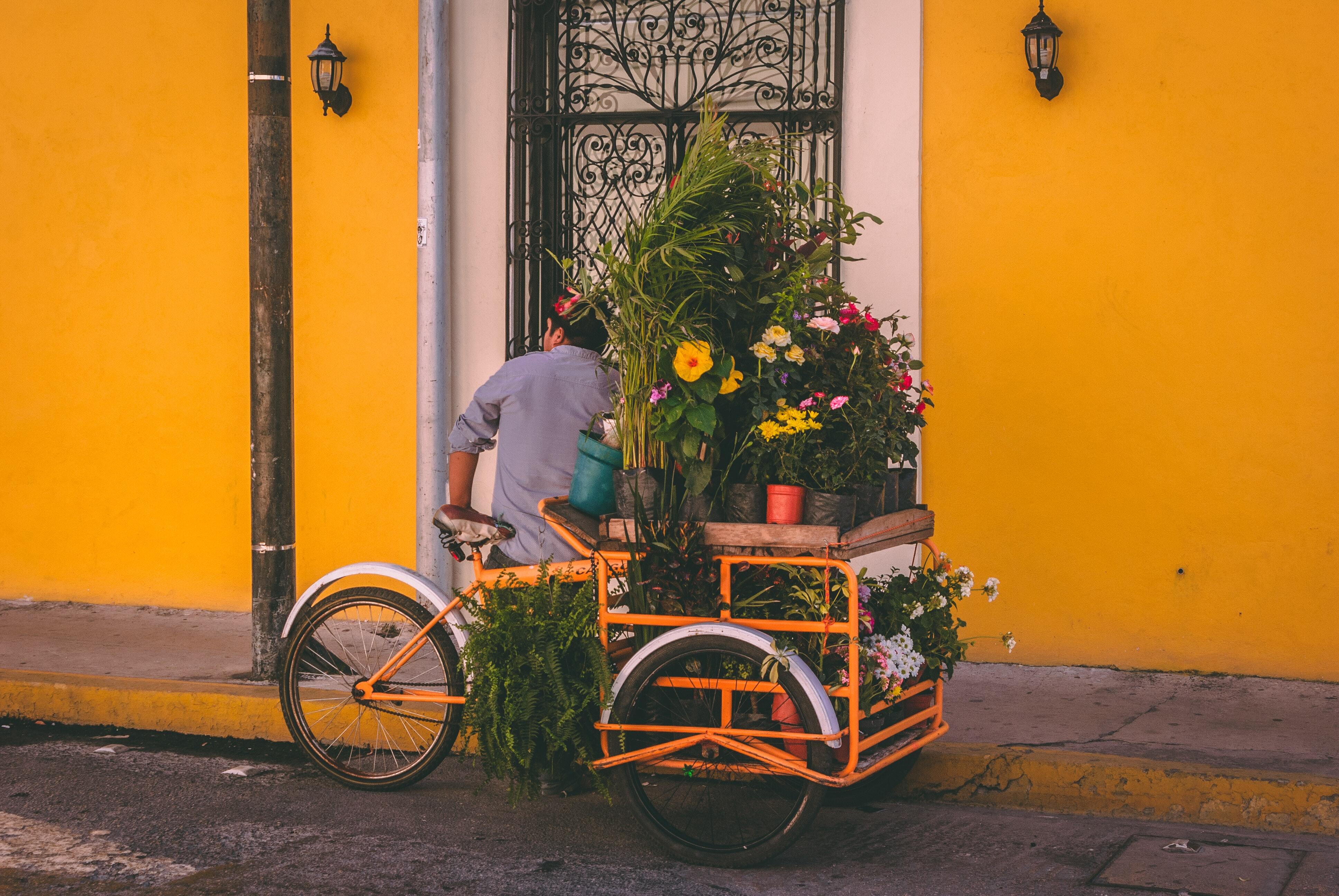 Bicycle cart filled with plants and flowers parked against a bright yellow wall in Mexico.