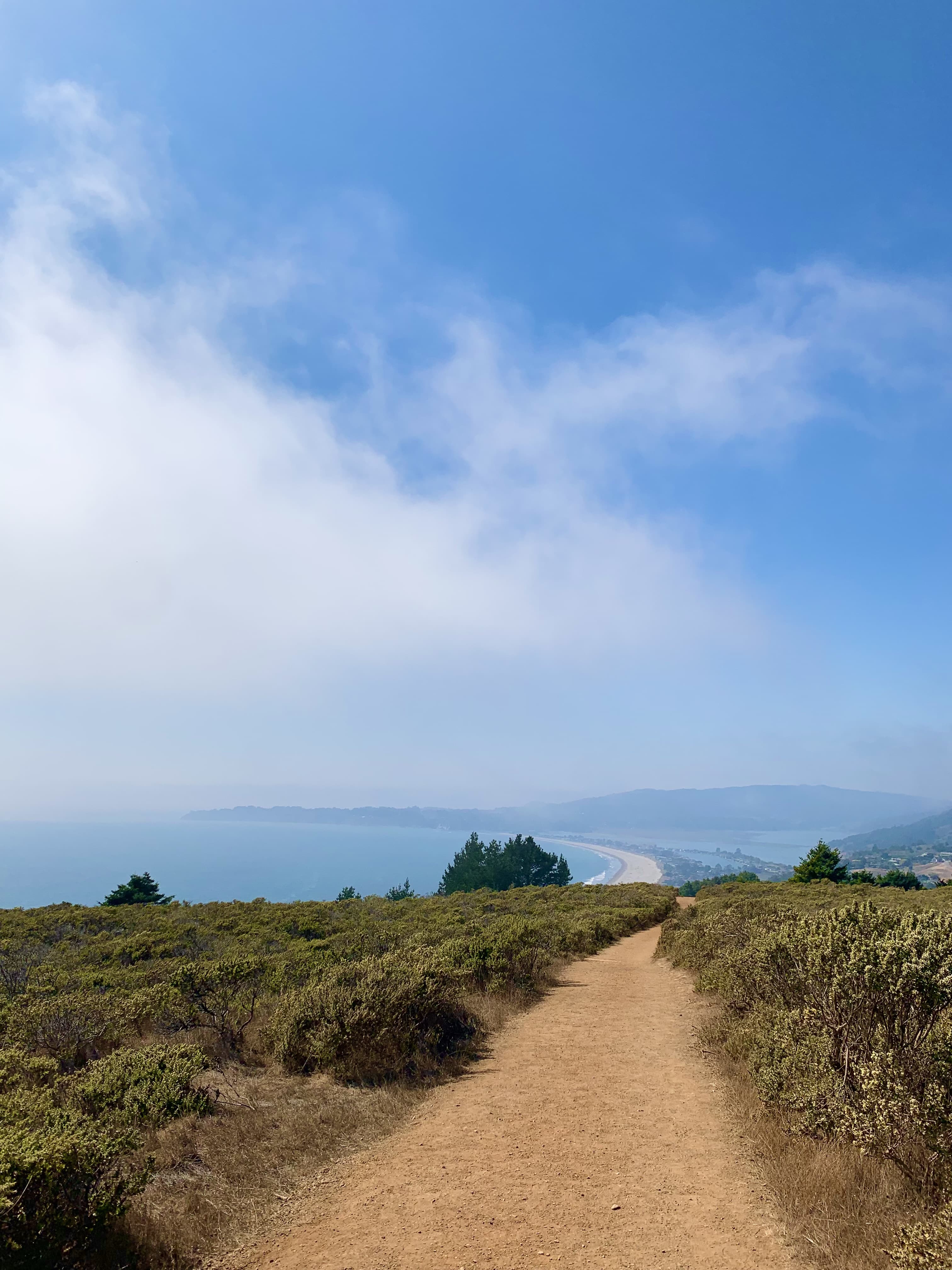 Hiking trail near the ocean.