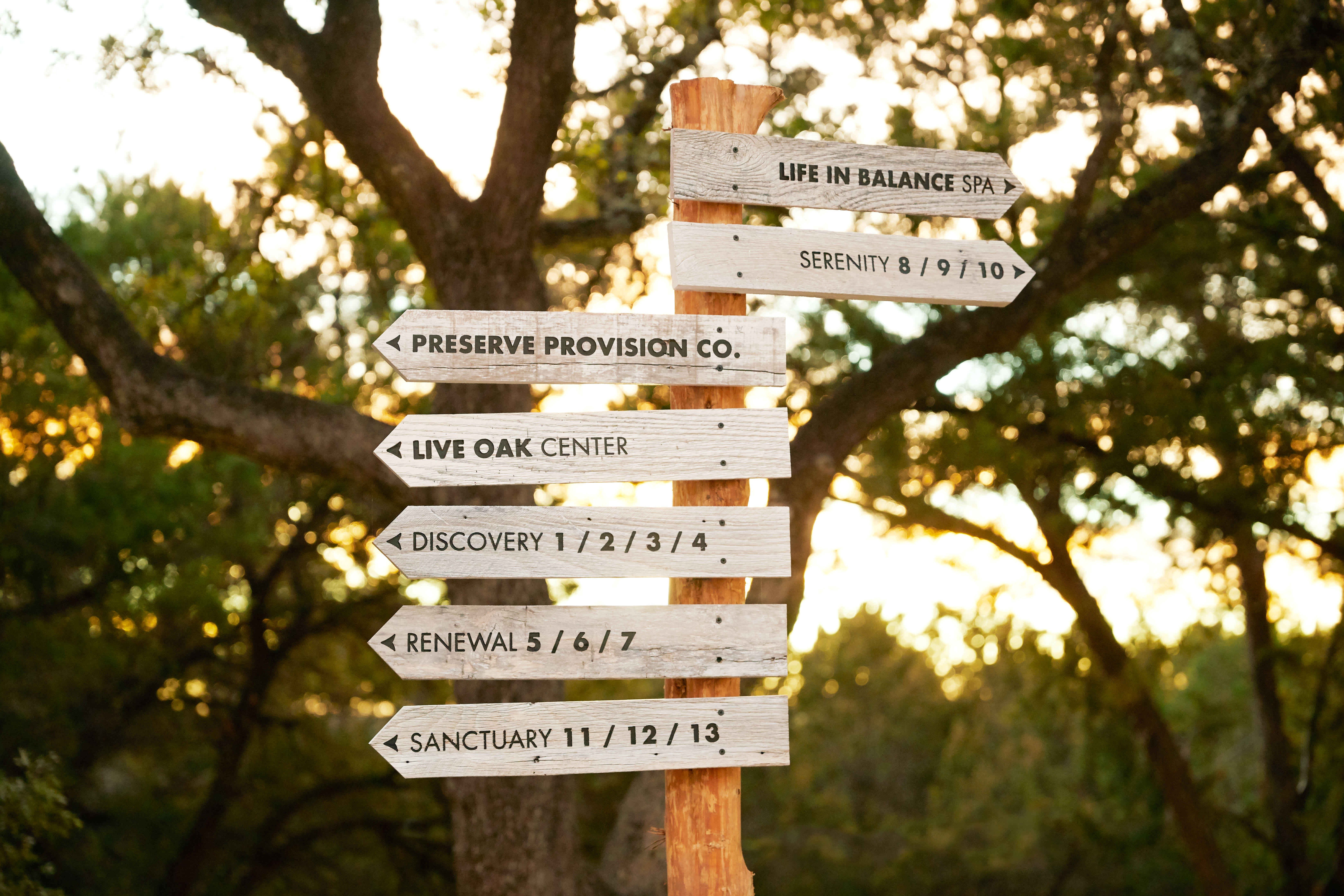 Directional signpost featuring options for wellness and discovery at Miraval Resort and Spa in Austin, nestled among the trees.