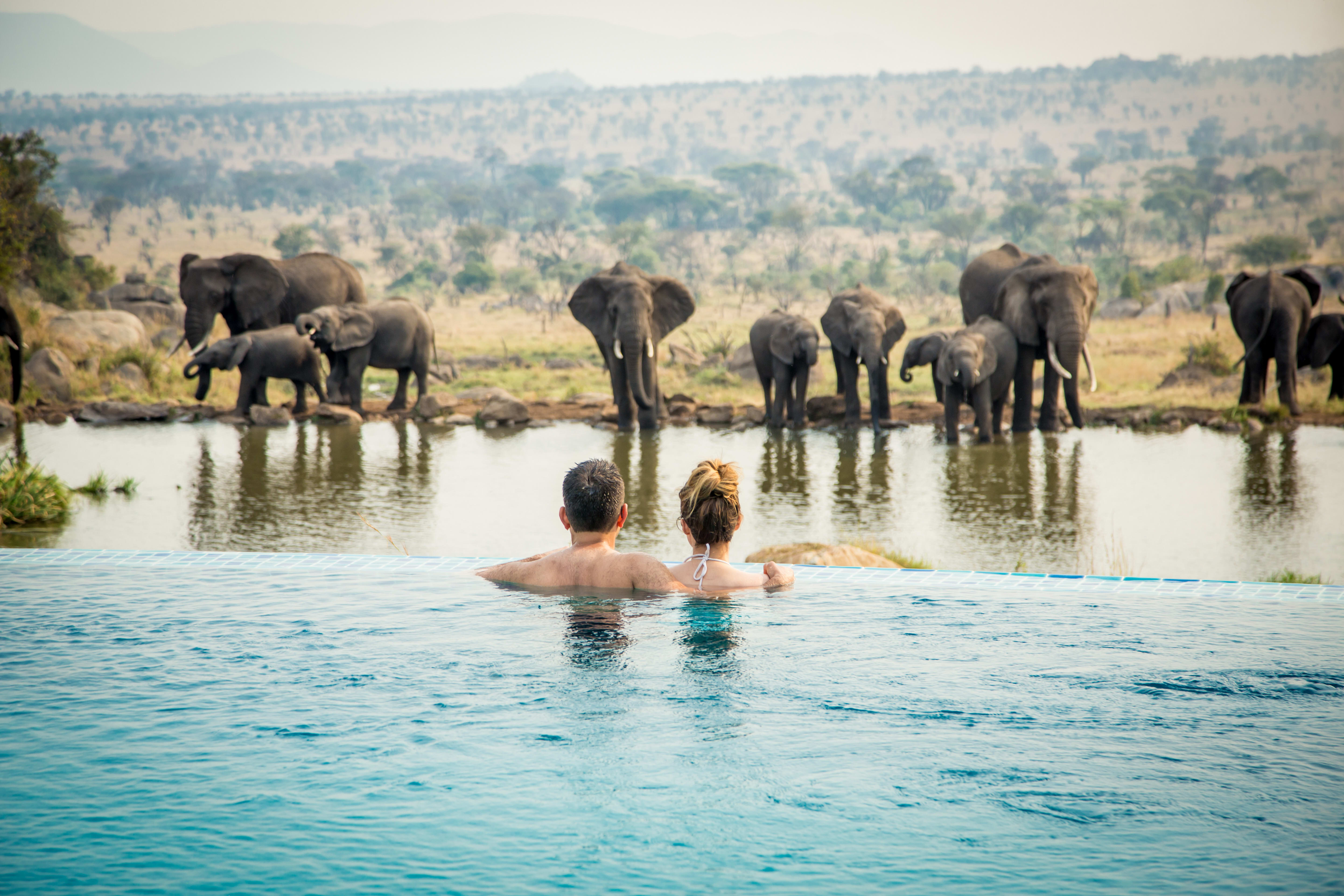 A couple enjoying an infinity pool overlooking a watering hole with a herd of elephants during an Exclusive Resorts journey in Tanzania.