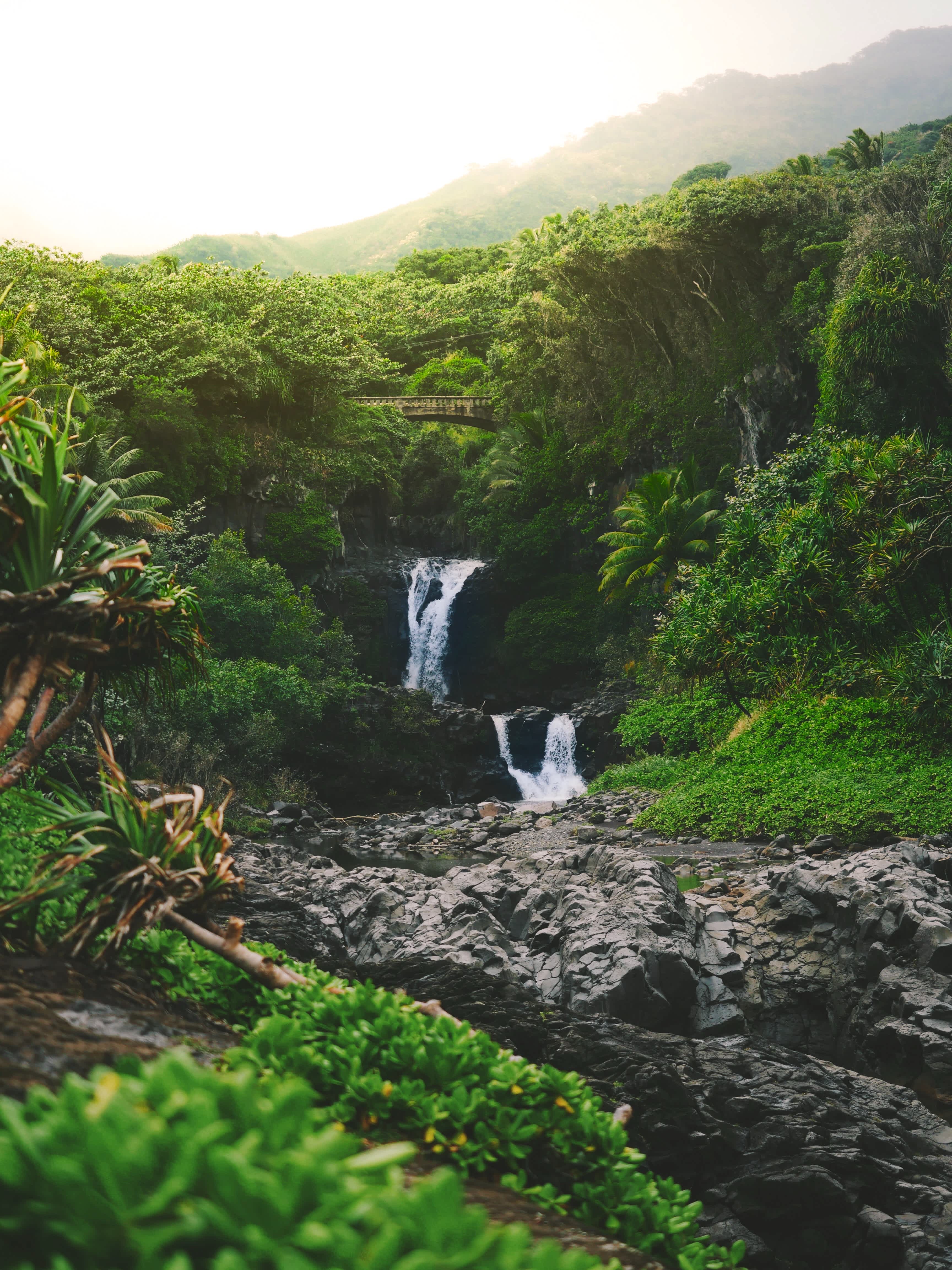 Lush green landscape with a cascading waterfall on the Kohala Coast.
