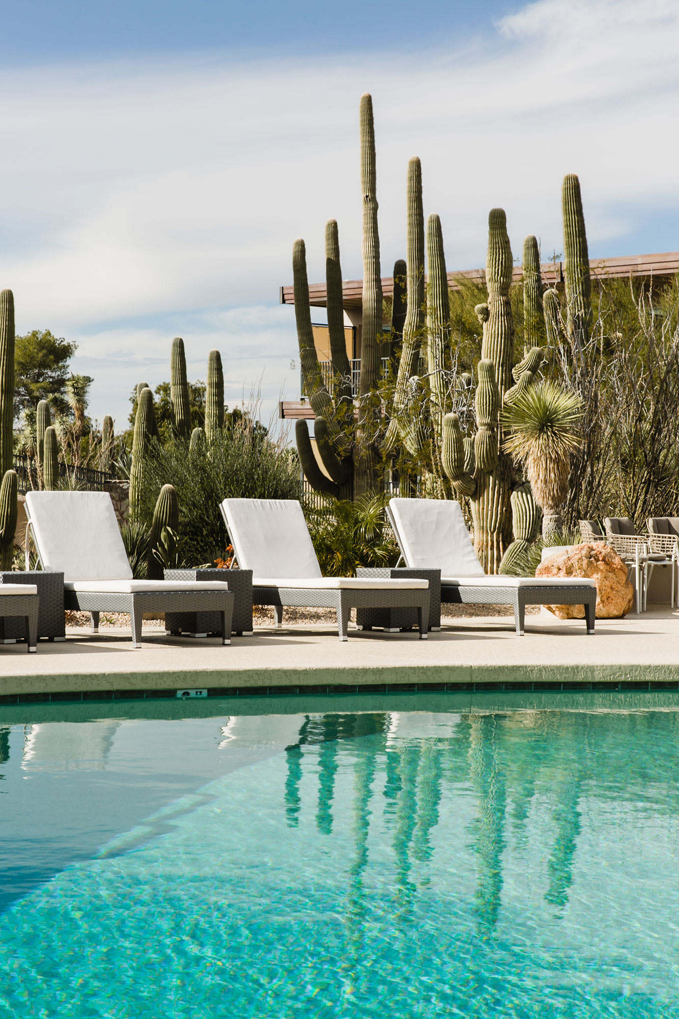 Poolside lounge chairs with a backdrop of tall cacti at a resort in Scottsdale, Arizona.
