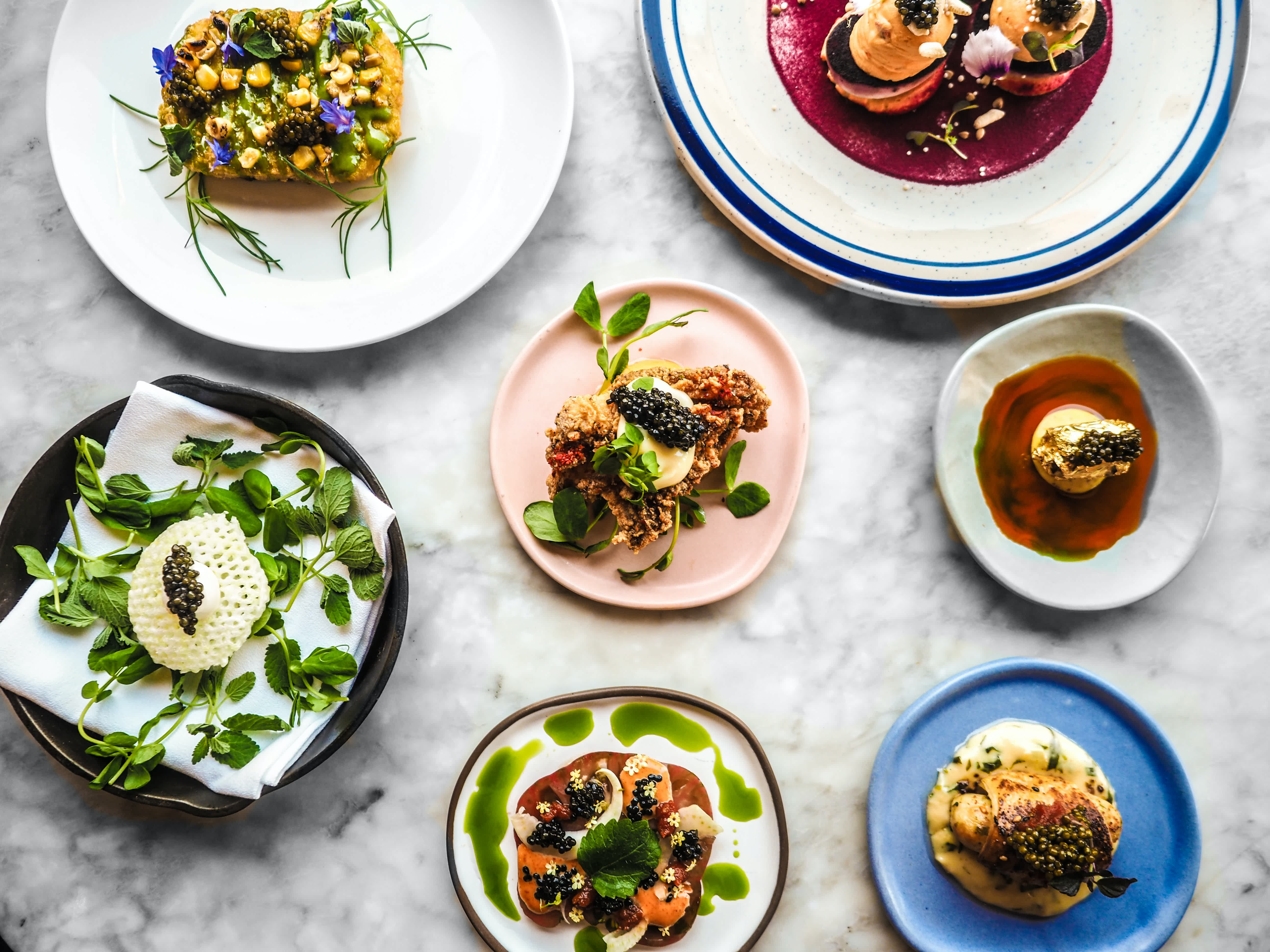 Assorted gourmet dishes in Provence cuisine displayed on colorful plates.