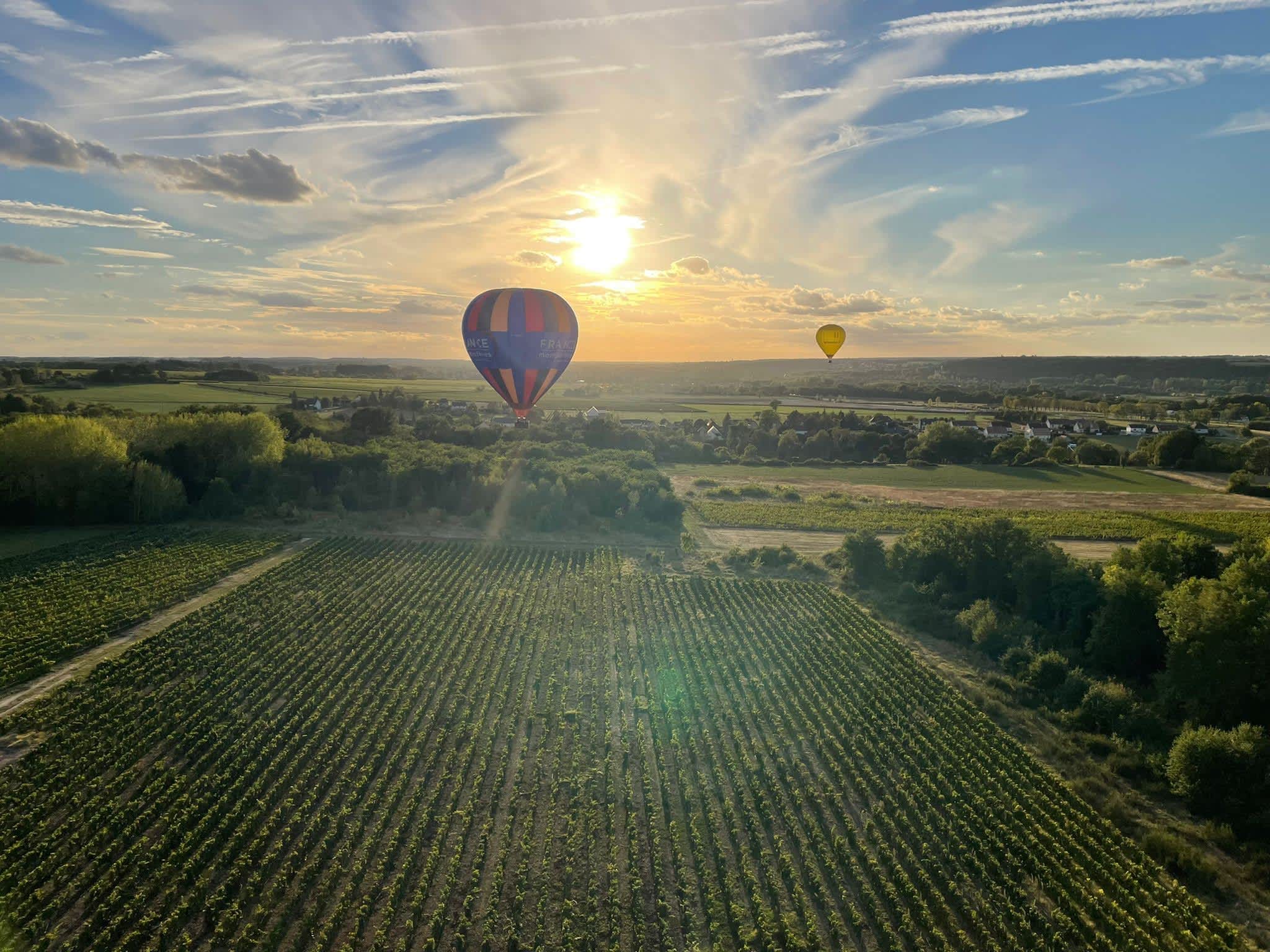 Hot air balloons floating over the vineyards of Provence during a beautiful sunset.