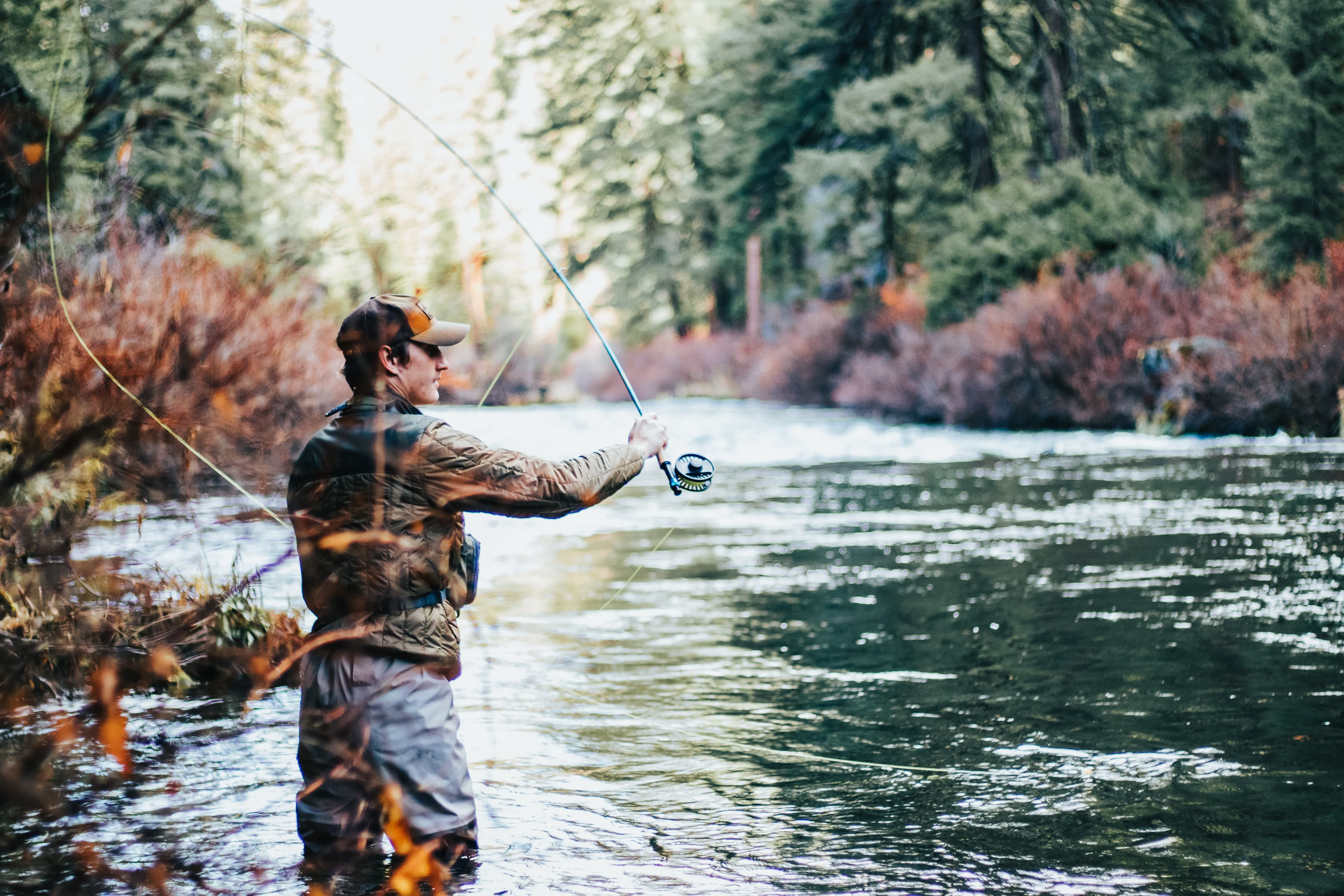 Man fly fishing in a scenic river surrounded by dense forest in Colorado.