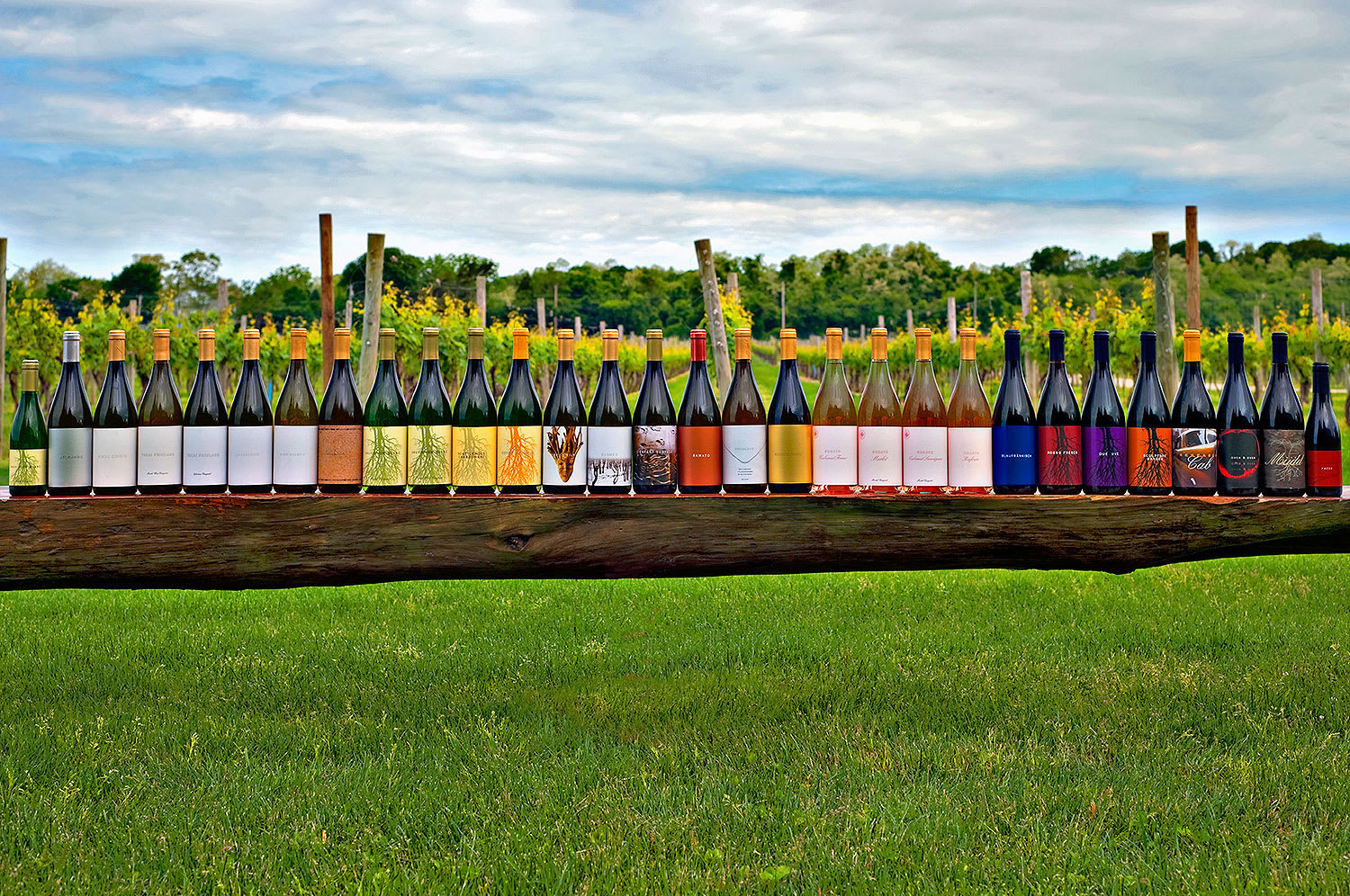 An array of Channing Daughters Winery bottles lined up on a rustic wooden beam, with a verdant vineyard in the background.