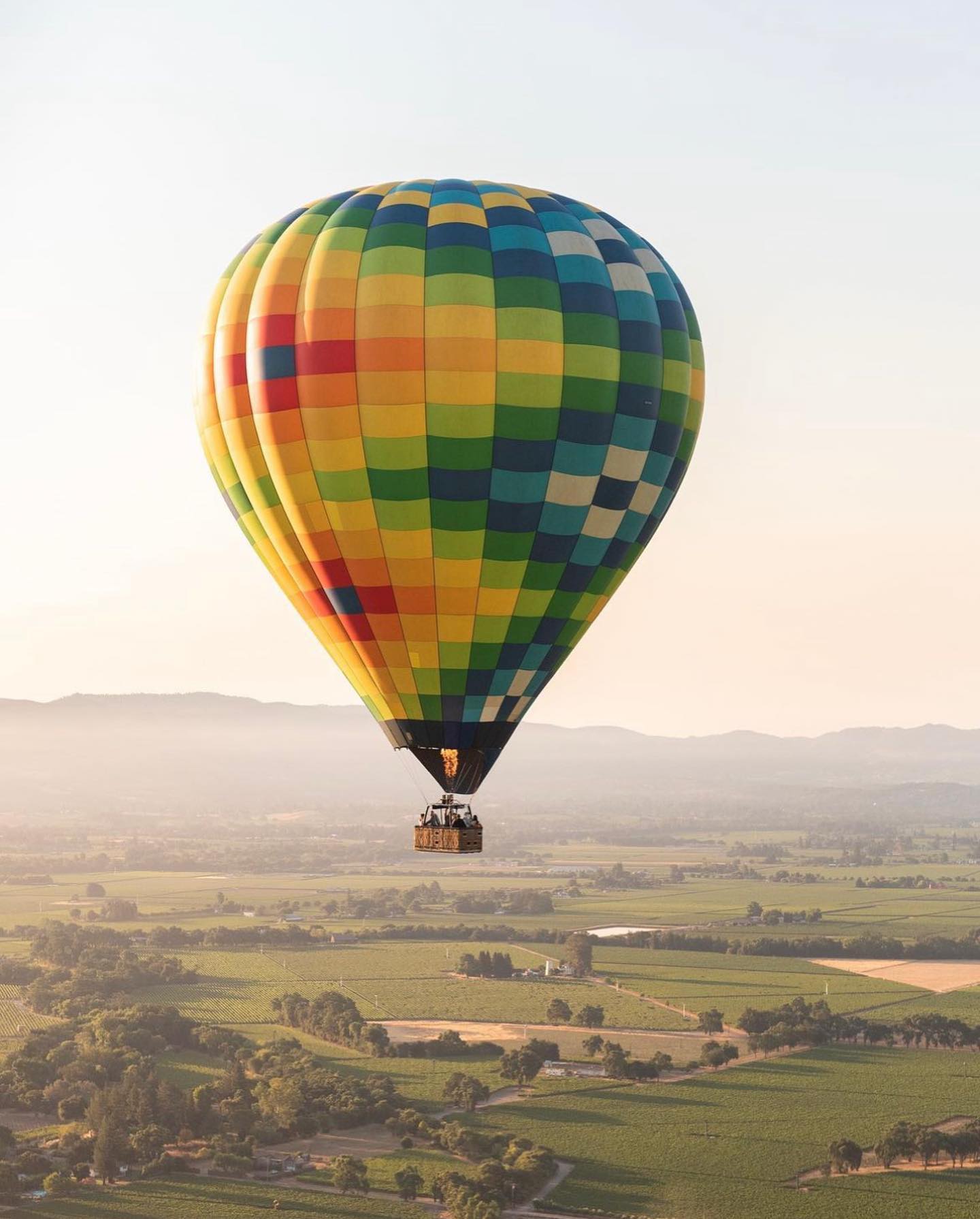 Colorful hot air balloon flying over Napa Valley vineyards during sunrise.