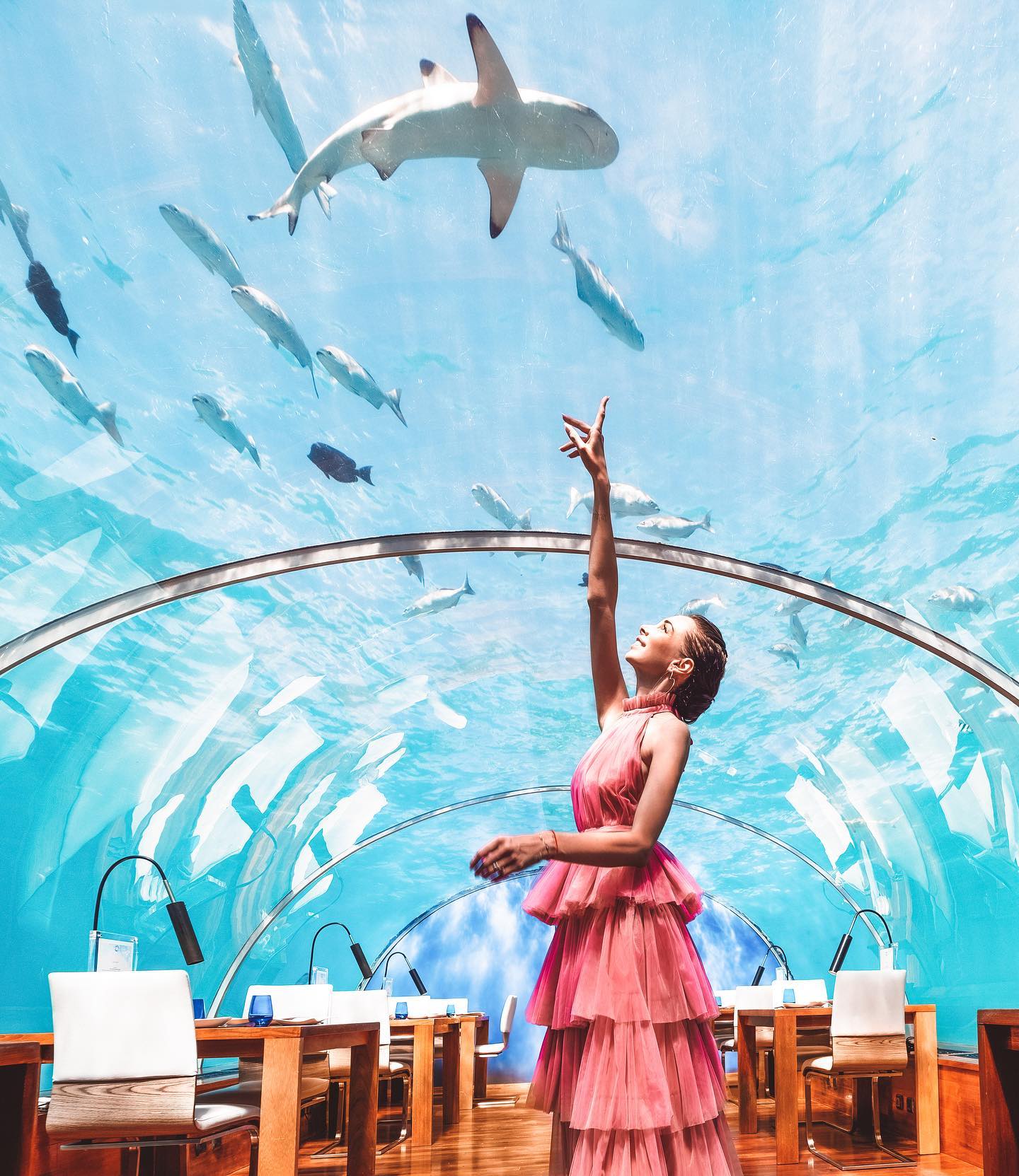 Woman in pink dress inside an underwater restaurant in the Maldives, reaching toward a shark swimming above.