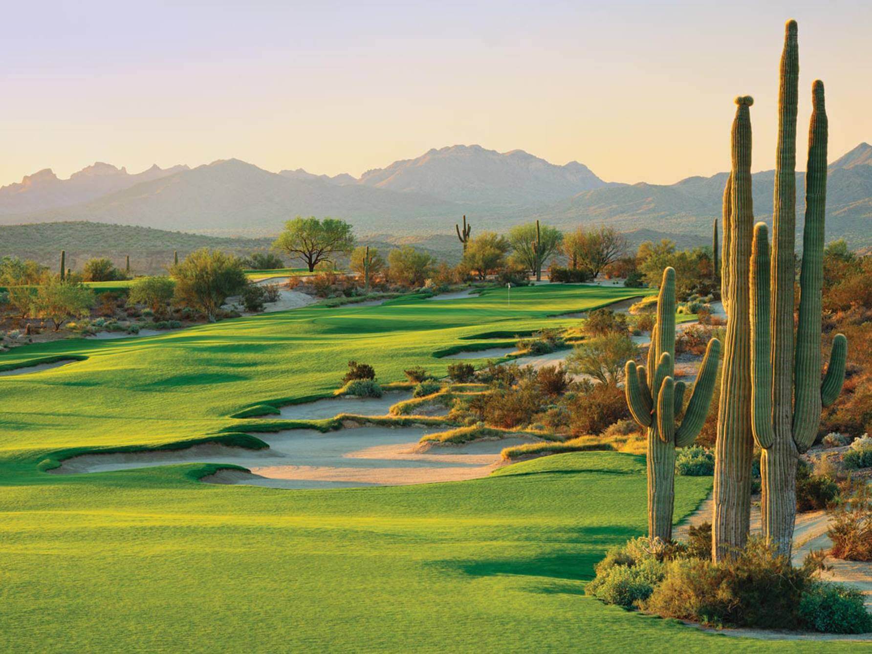 Golf course view at We-Ko-Pa Saguaro with desert landscape and cacti in Scottsdale.