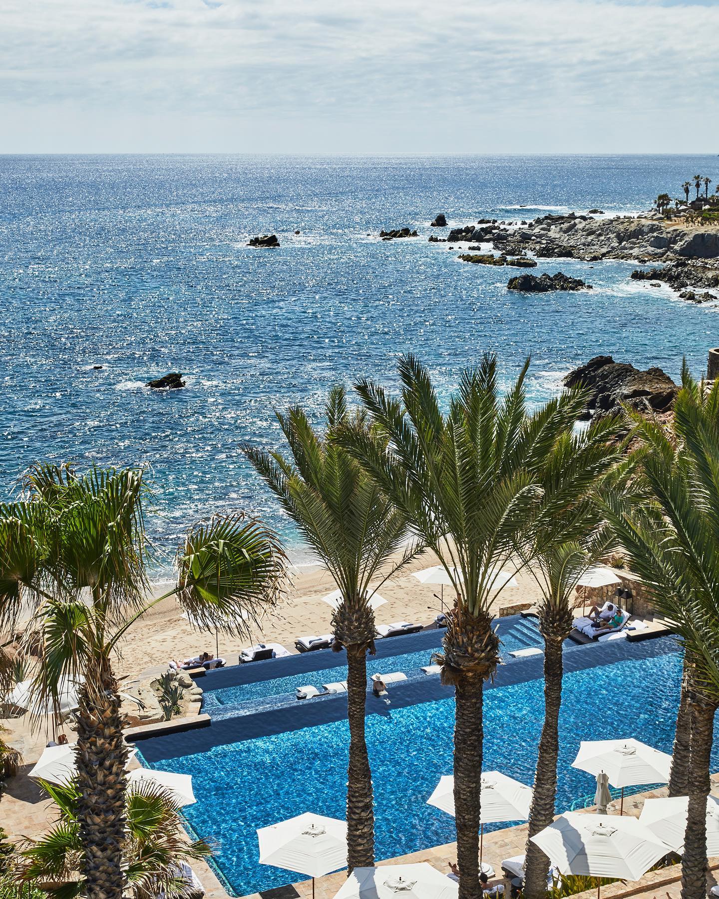 View of Los Cabos beach and infinity pool with palm trees and ocean in the background.