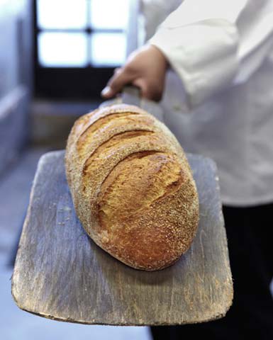 Freshly baked artisan bread being held by a baker in Napa Valley