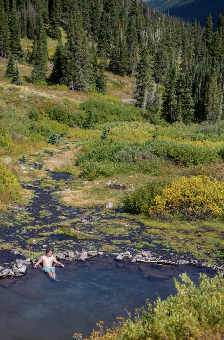 A man relaxing in a stream surrounded by lush greenery and pine trees in the Colorado mountains.