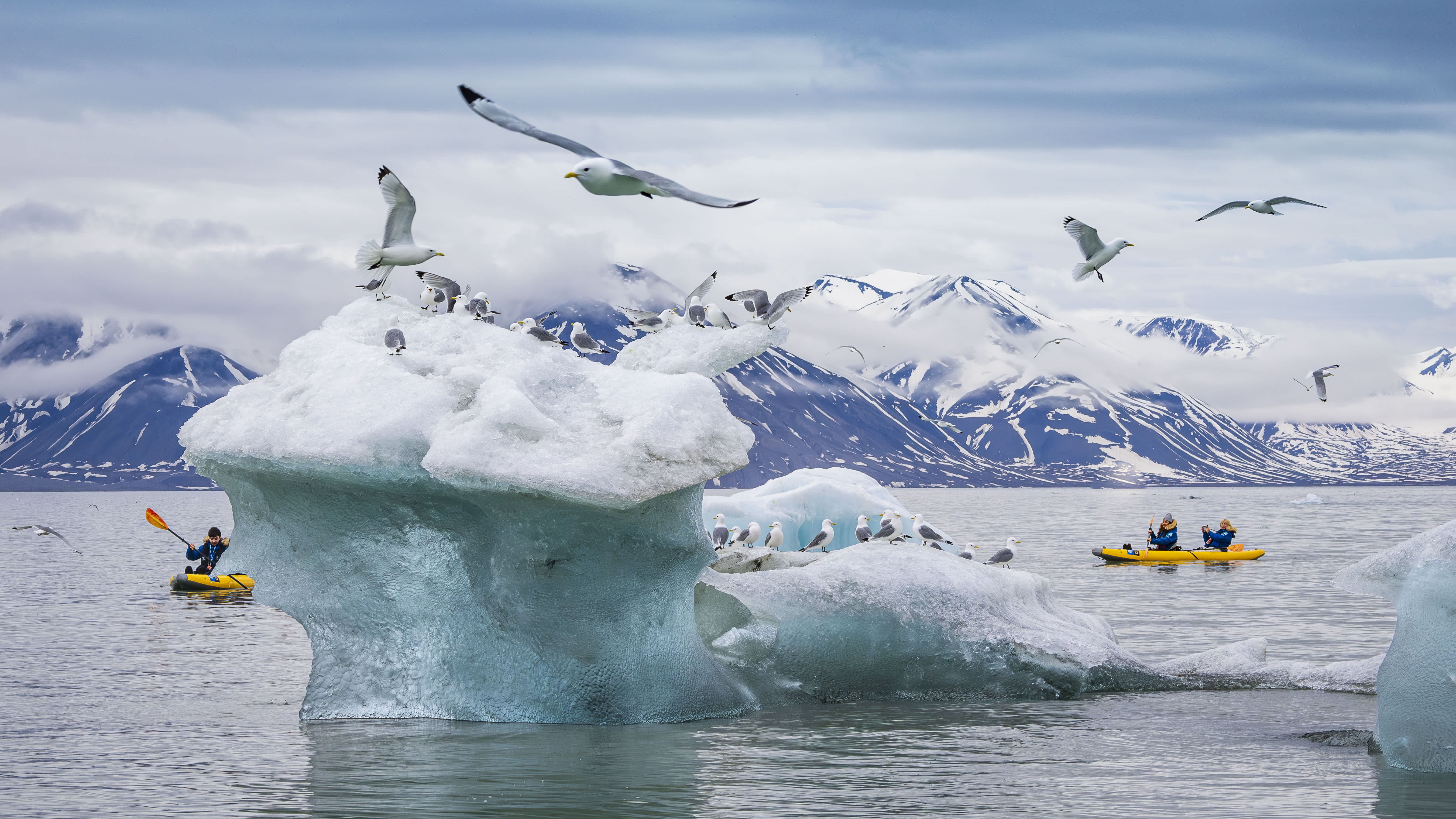 Exclusive Resorts' Members kayaking near icebergs covered with seabirds in the Arctic, with snow-capped mountains in the background.