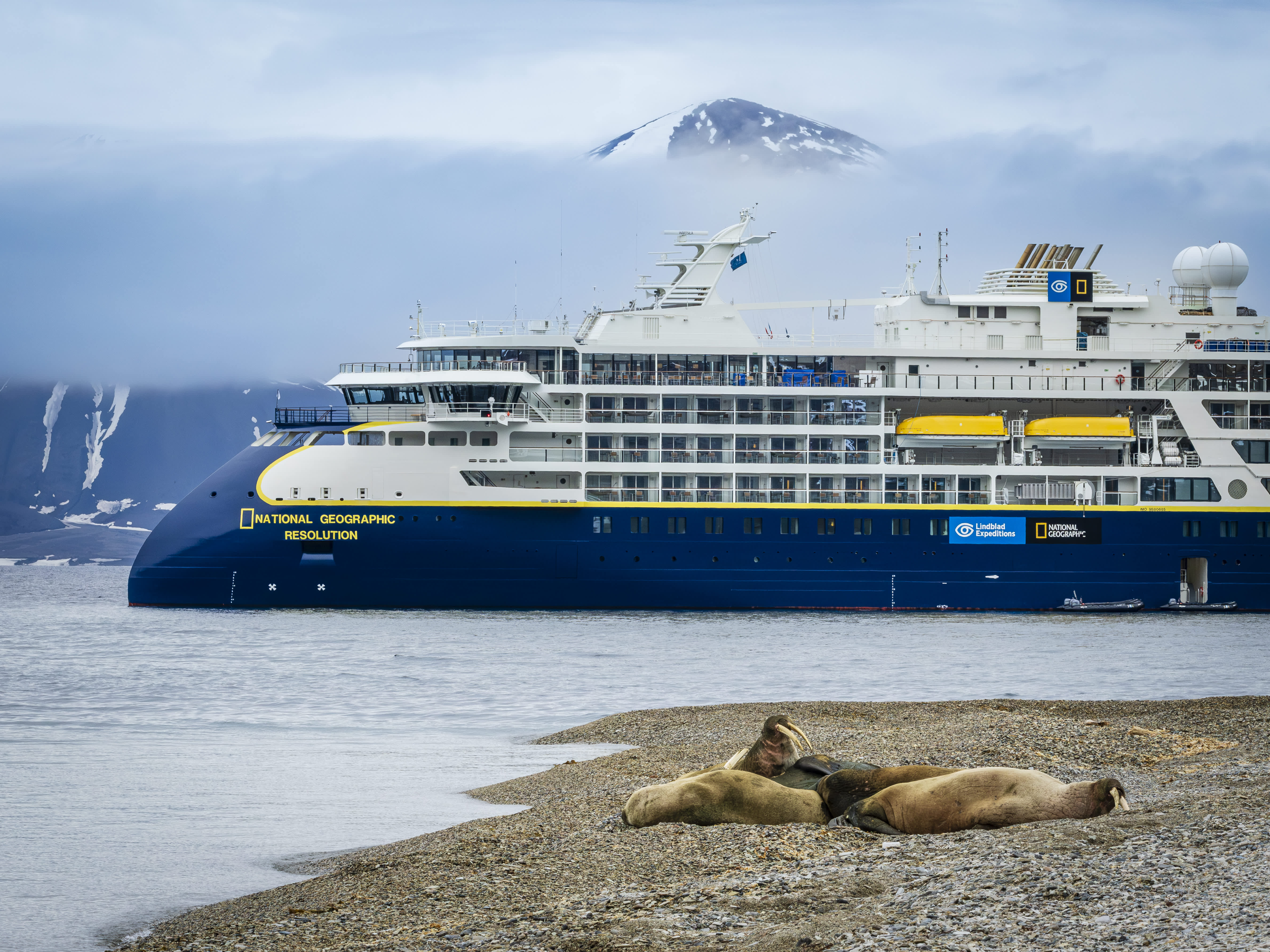 The National Geographic Resolution expedition ship anchored near a rocky beach with walruses resting in the foreground and a snow-capped mountain in the background, with Exclusive Resorts' members onboard.