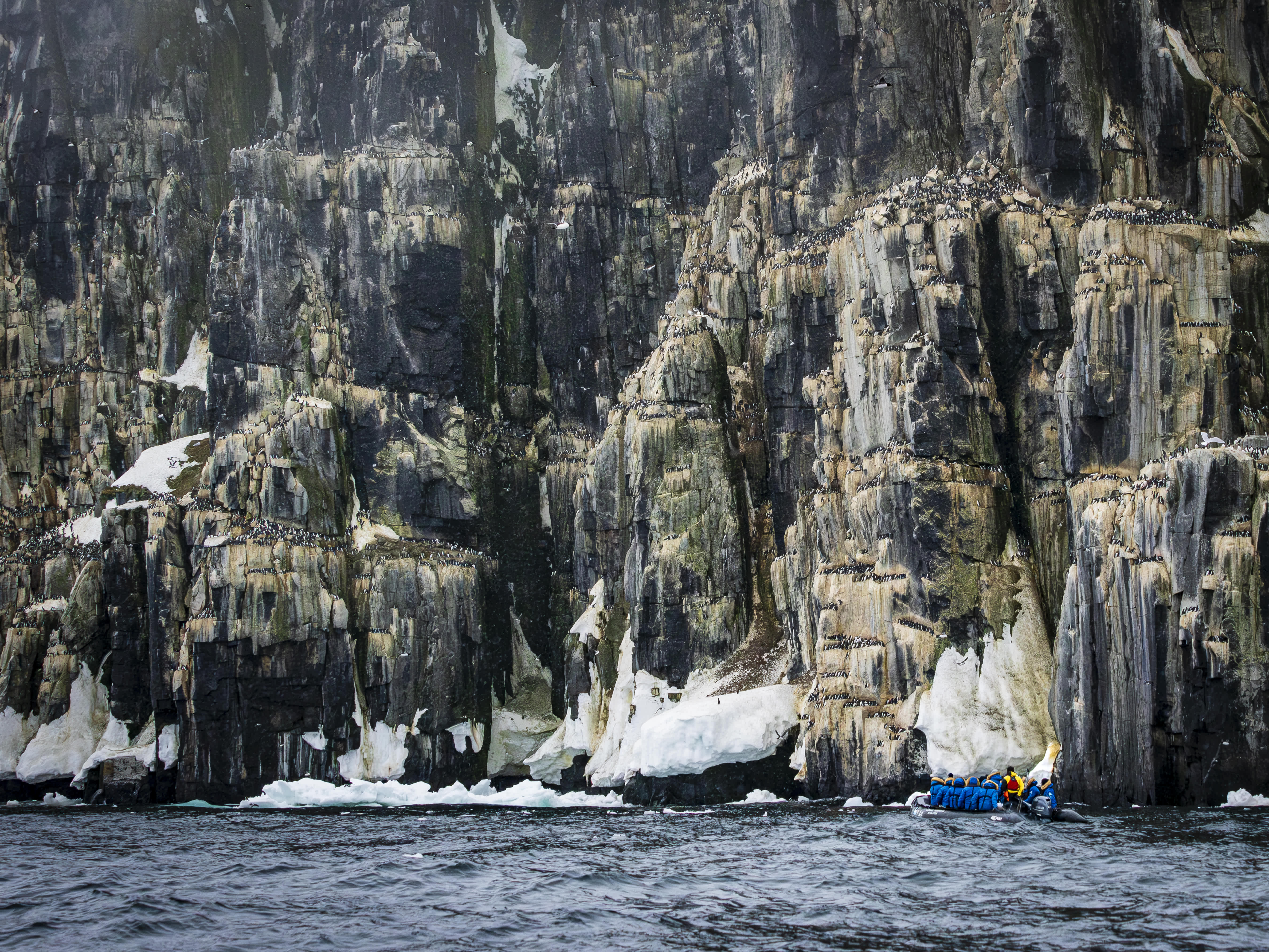 A group of Exclusive Resorts' Members in a small boat approaching a towering cliff covered with seabirds and patches of snow in the Arctic.