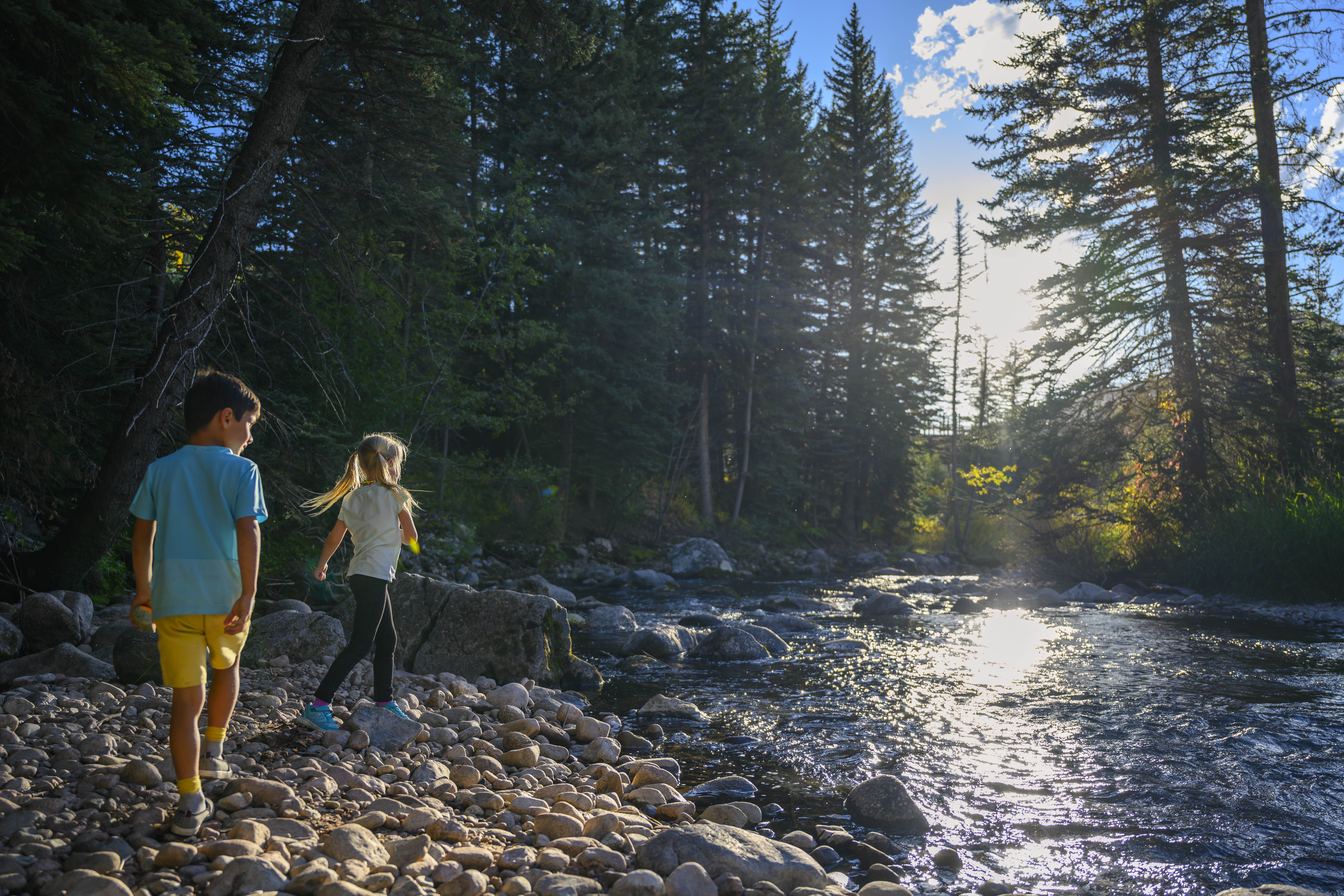 Children play by a flowing stream in a forested area with sunlight filtering through the trees.