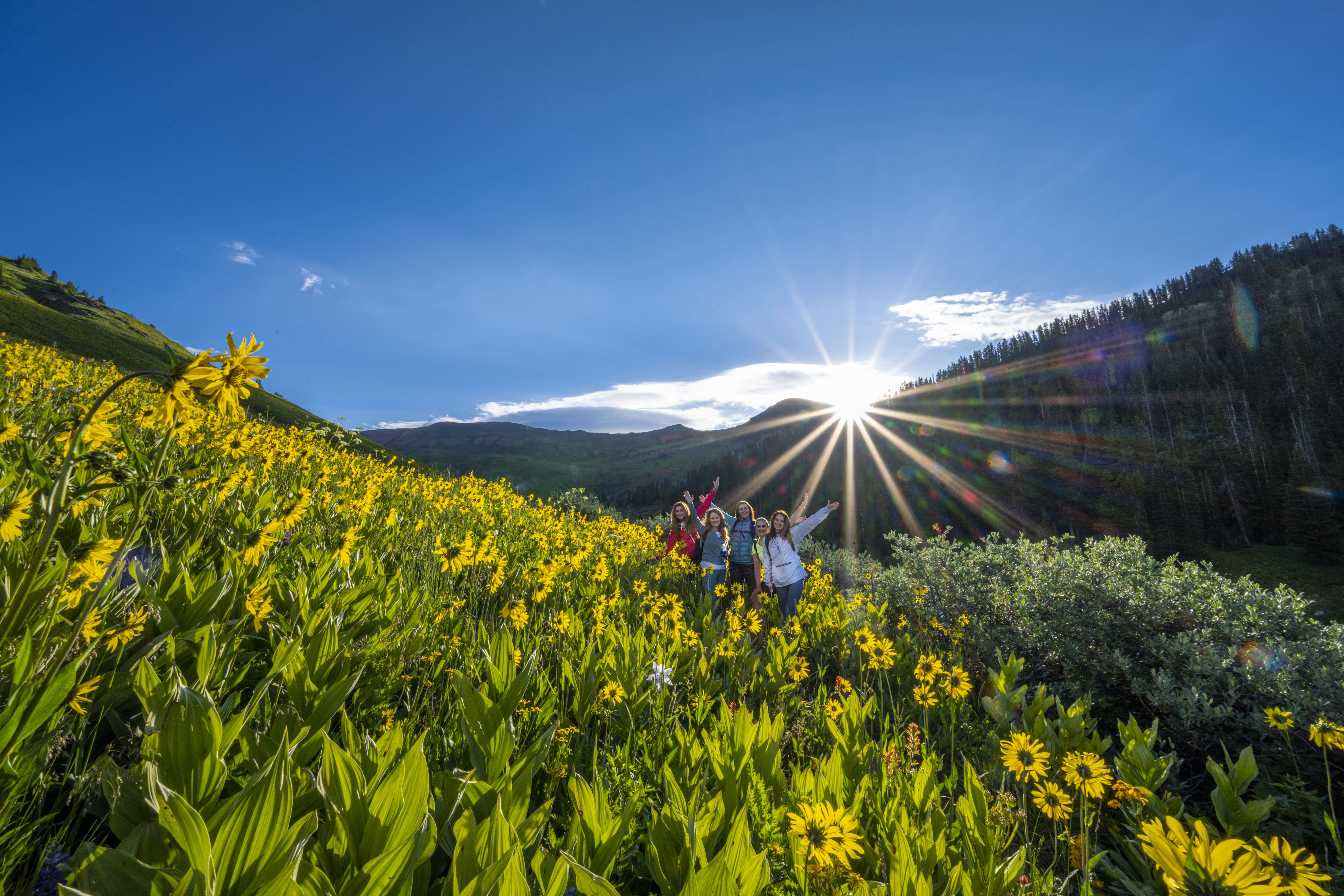 People smiling and posing for a photo amidst a field of wildflowers with a backdrop of Colorado mountains under a clear blue sky.
