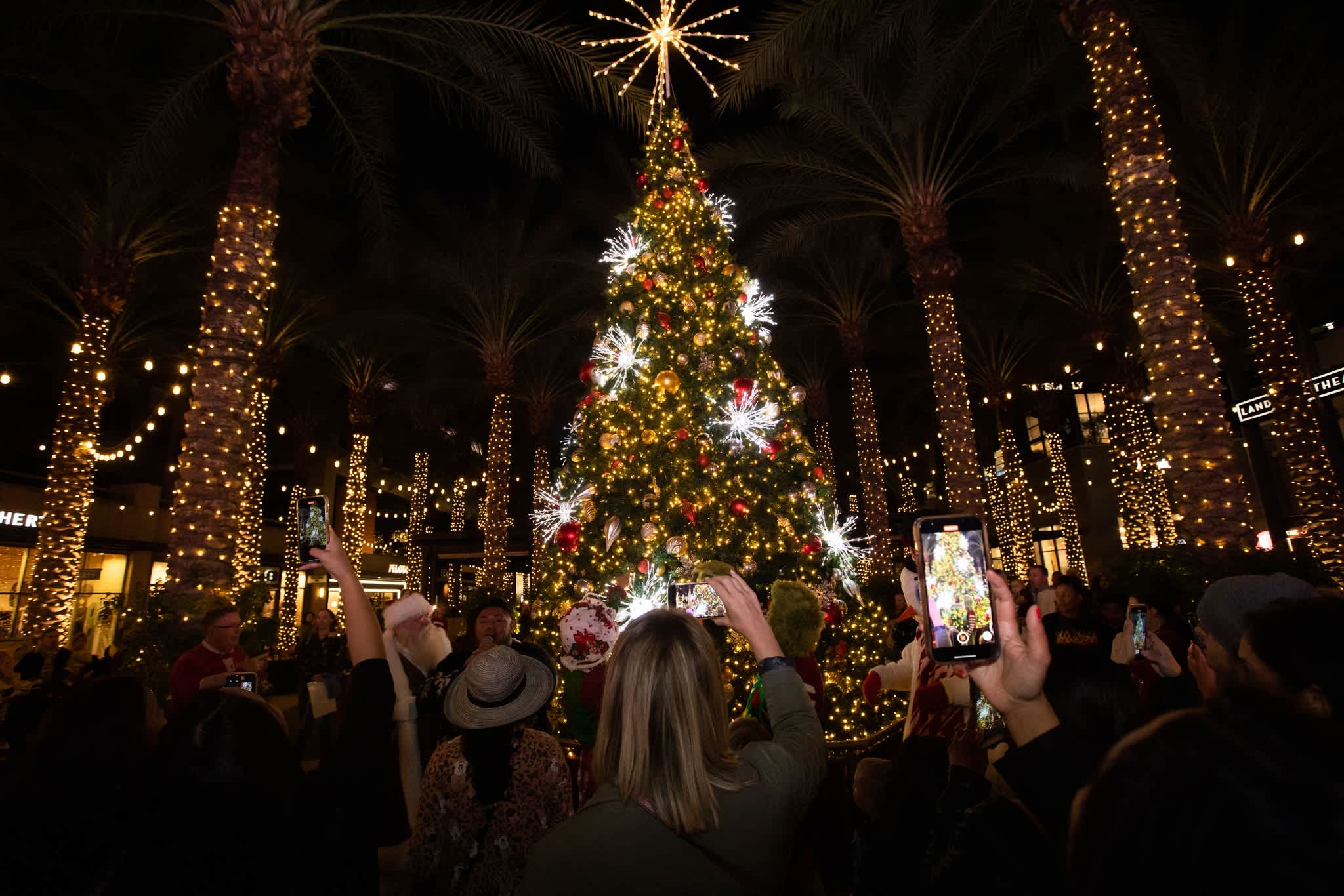 Christmas tree lighting event at the Scottsdale Quarter with palm trees decorated in lights.