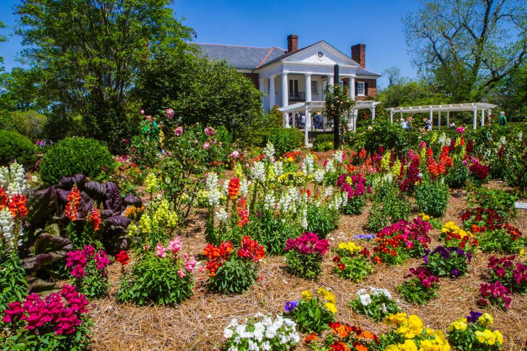 Boone Hall Plantation garden with vibrant flowers and historic white house in the background.