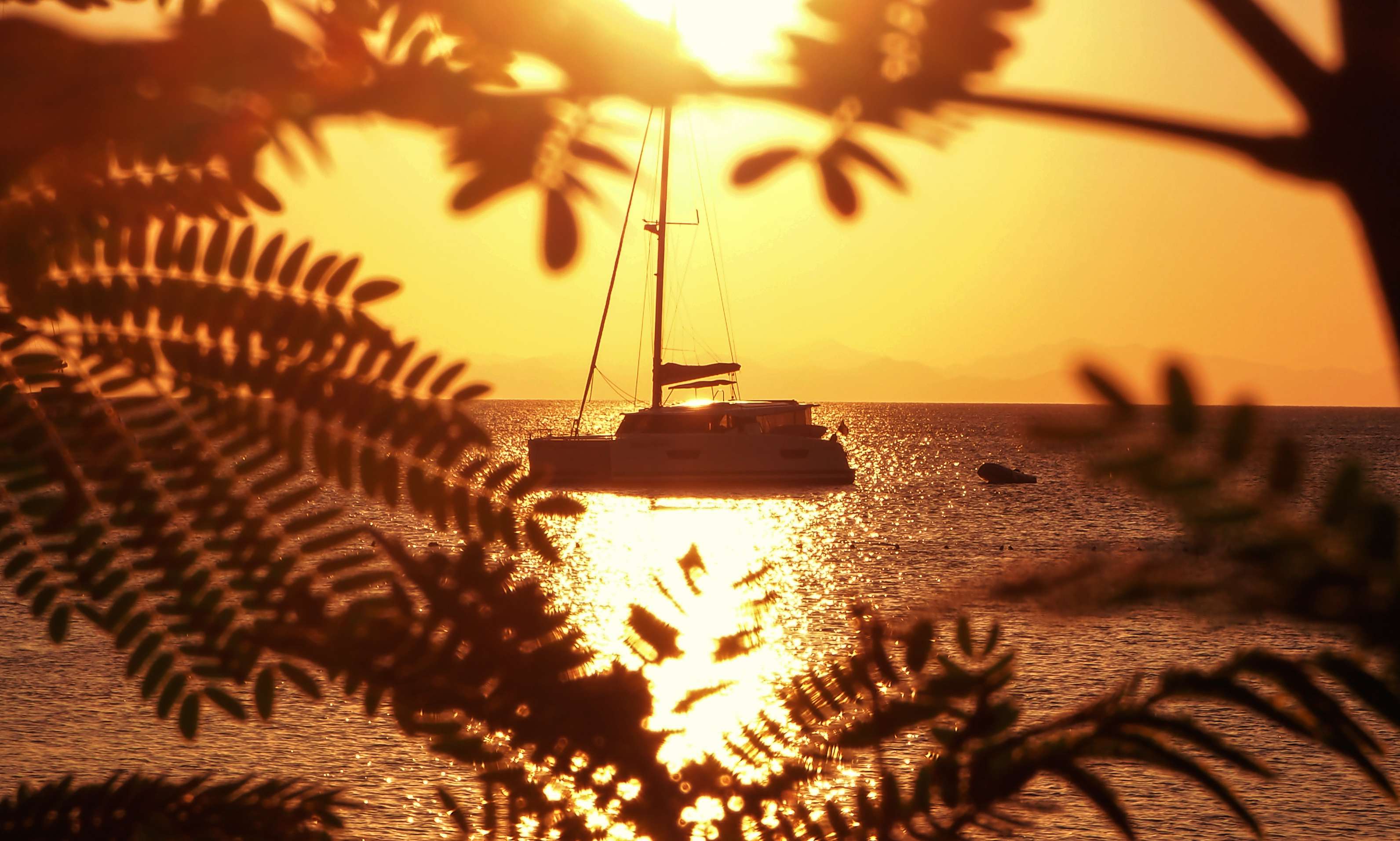 Sailboat silhouetted against a golden sunset on the ocean in Costa Rica, framed by tropical foliage.