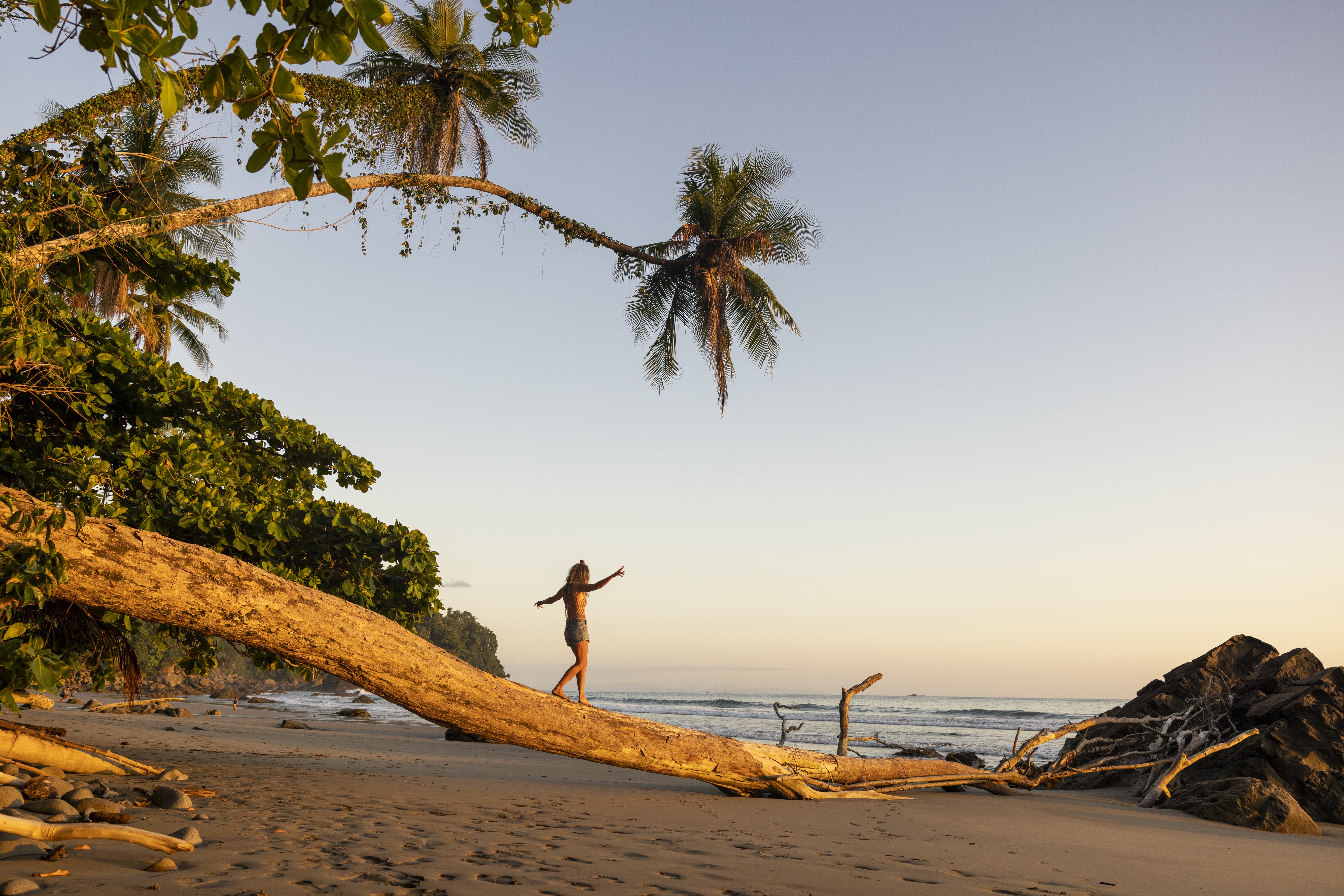 Person balancing on a fallen tree trunk at a serene beach in Costa Rica during sunset, surrounded by palm trees and the ocean.