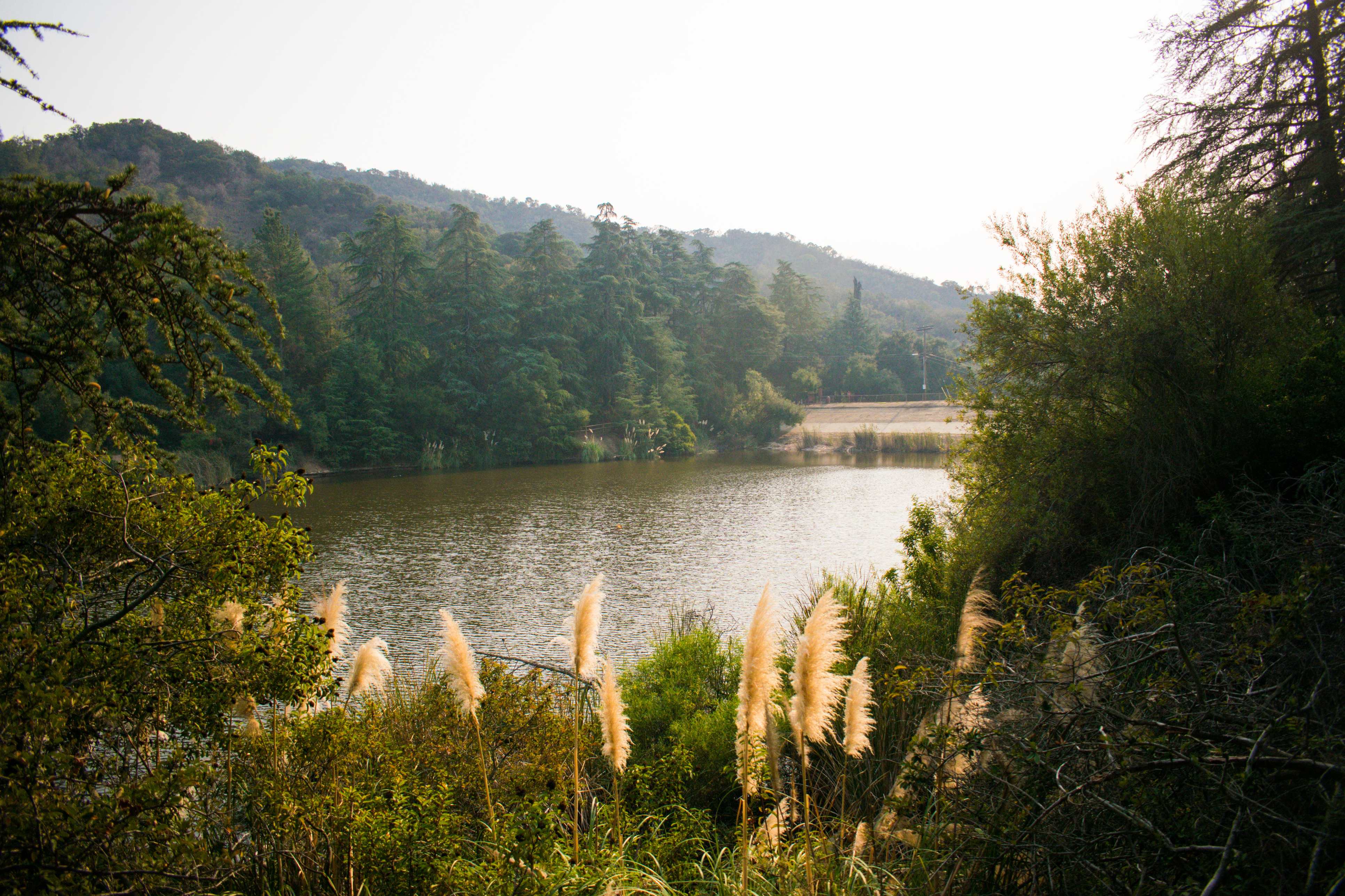 Serene lake surrounded by lush greenery and hills near Beverly Hills.