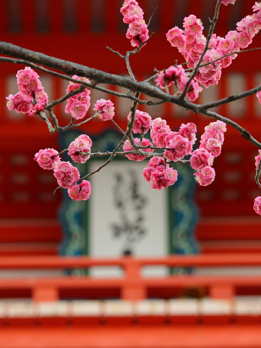 Where to Go and Stay for a Luxury Travel Adventure in Japan, image size:840x1118