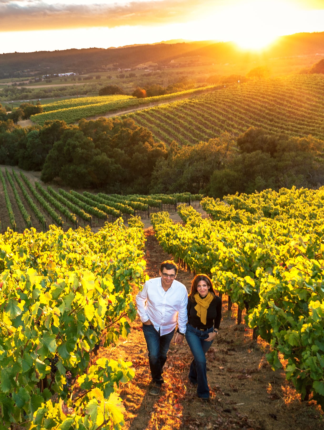 A Tale of Terroir (2019)