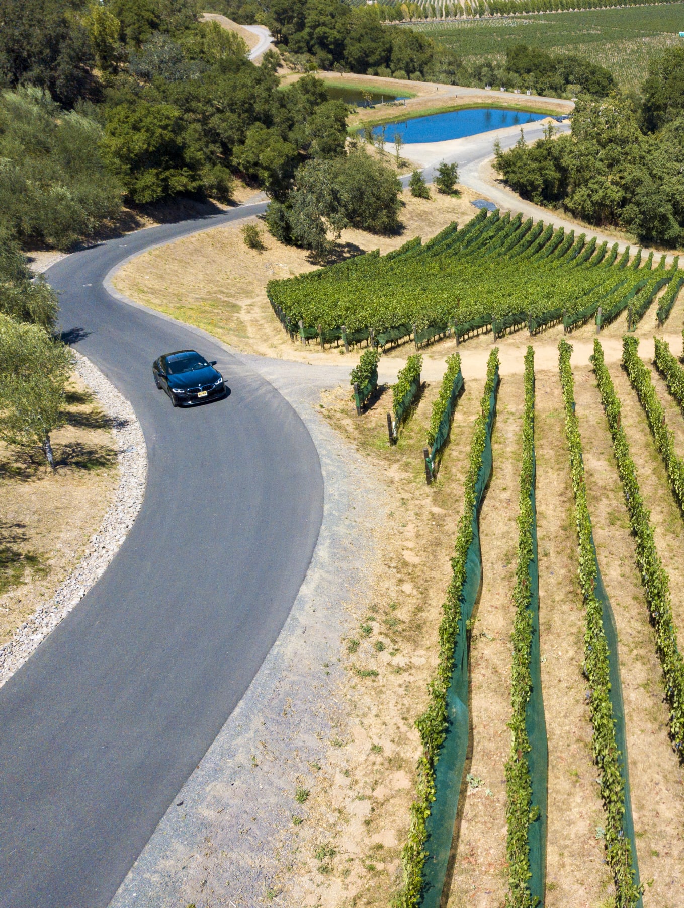 Aerial view of a car driving on a winding road through lush vineyards on a road trip through Napa and Sonoma.