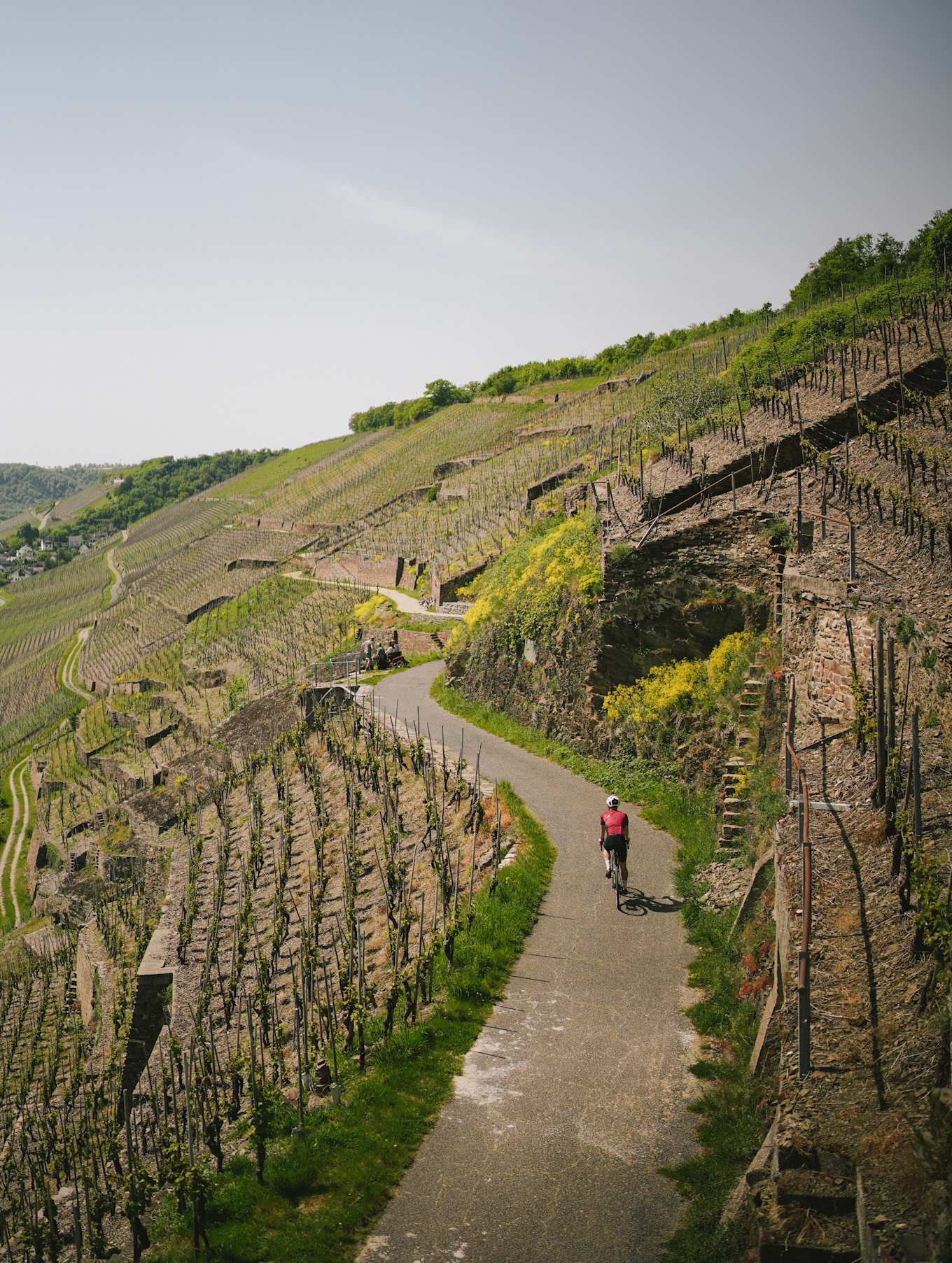 OIAL Feature | France (2025)