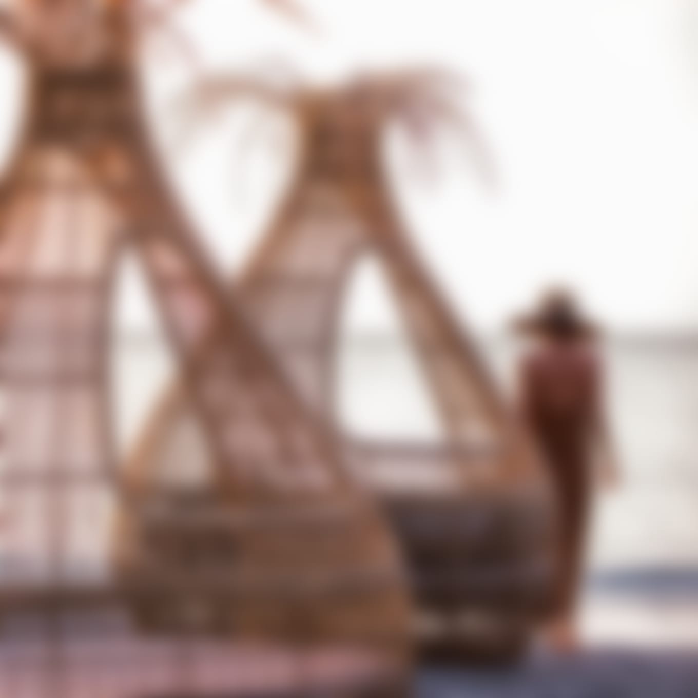 DIGITAL MATERIALS USAGE:
NUMBER OF IMAGES: All Images, video and creative assets
TERM: 2-Years
TERRITORY: Worldwide
MEDIA: Unlimited and unrestricted internet and electronic media (paid and non-paid media) use – including but not limited to, social platforms whether in existence currently or in the future, mobile access, email newsletters, and digital advertising.