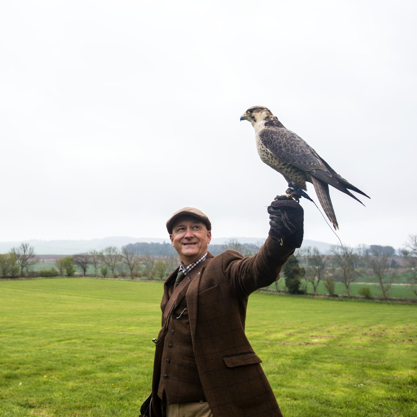 What is a bird of prey? — the SCOTTISH countryman
