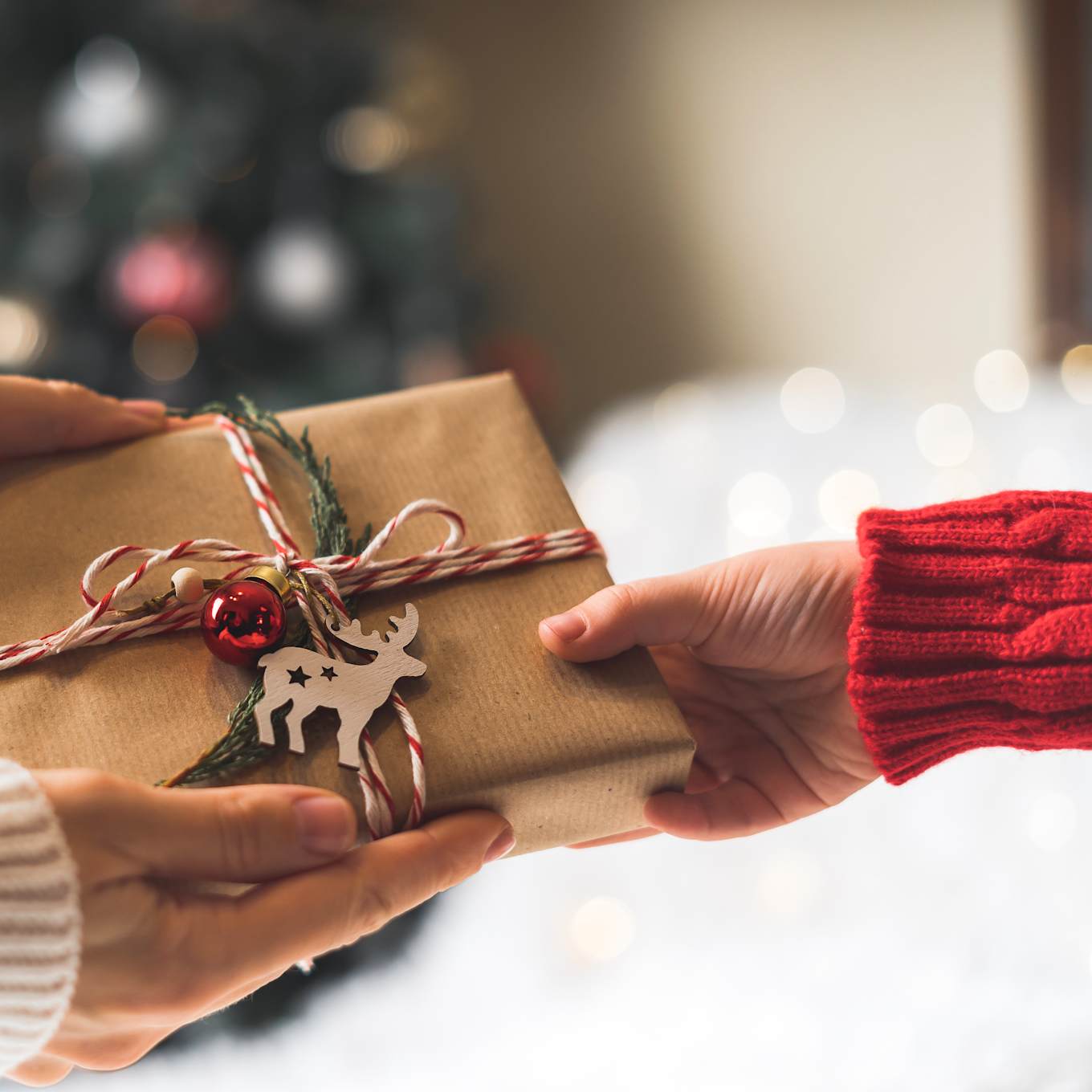 Members Gift Guide